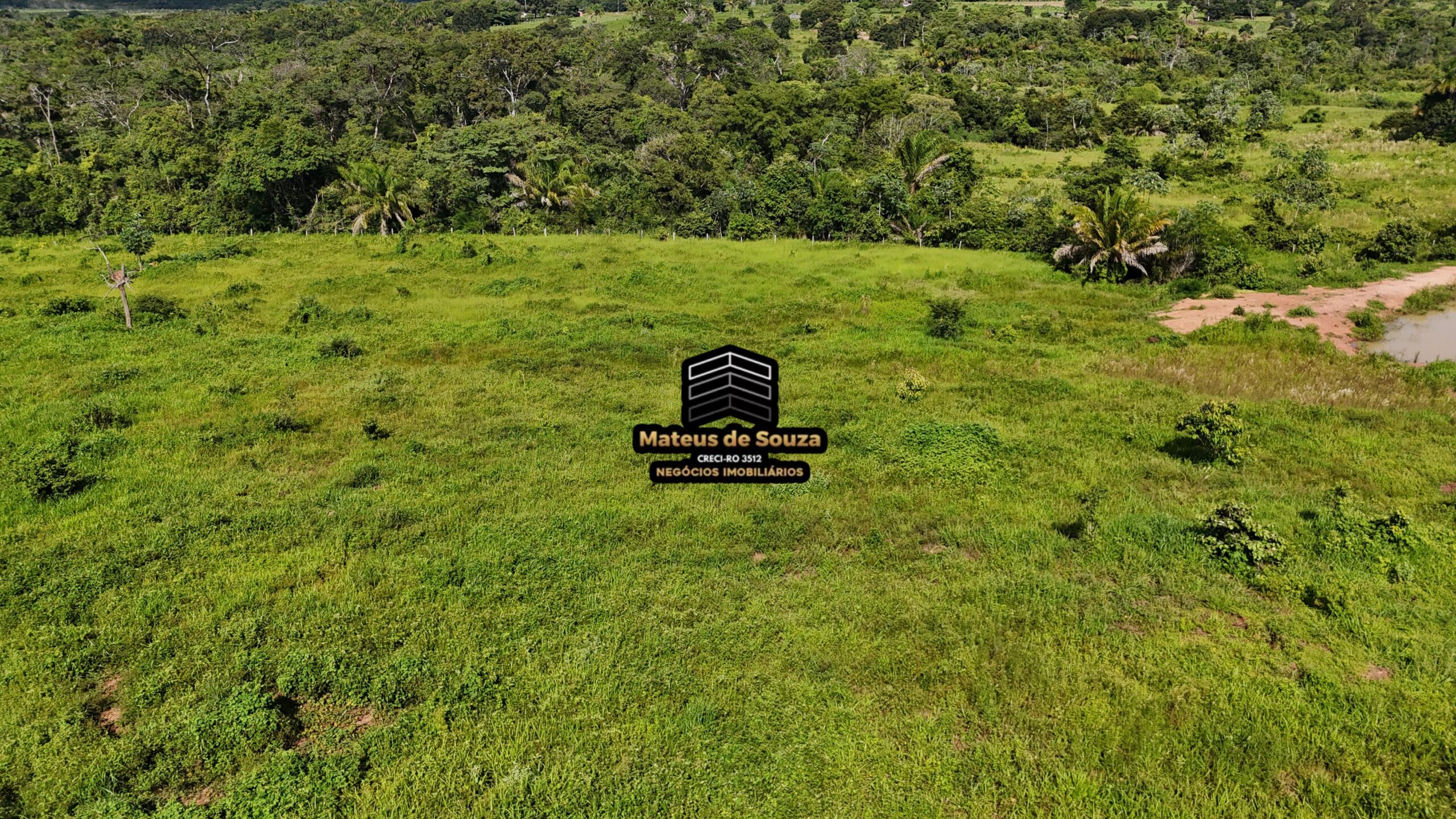 WhatsApp Image 2026-02-21 at 20.47.45 (1)