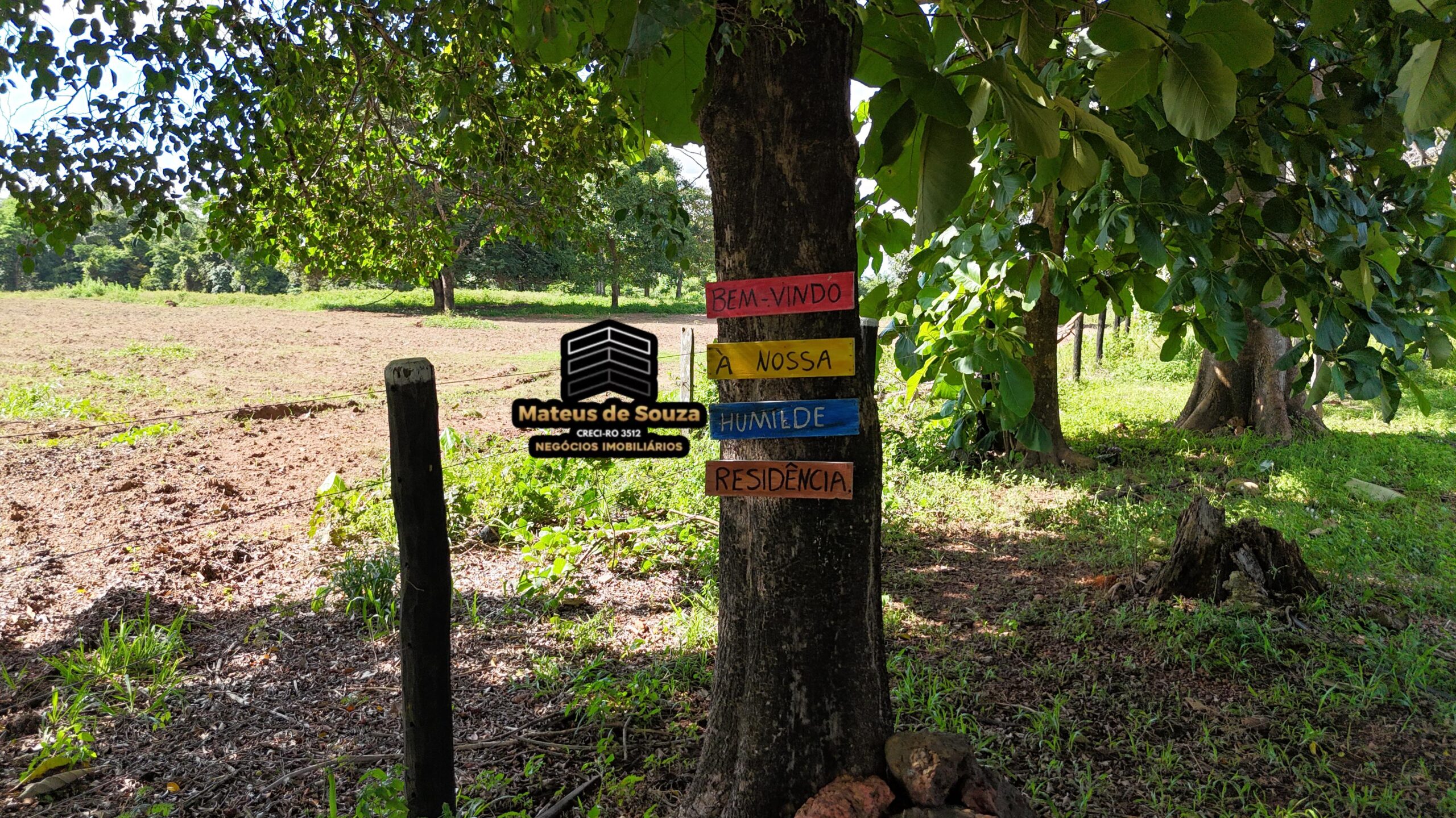 WhatsApp Image 2026-02-21 at 20.47.46