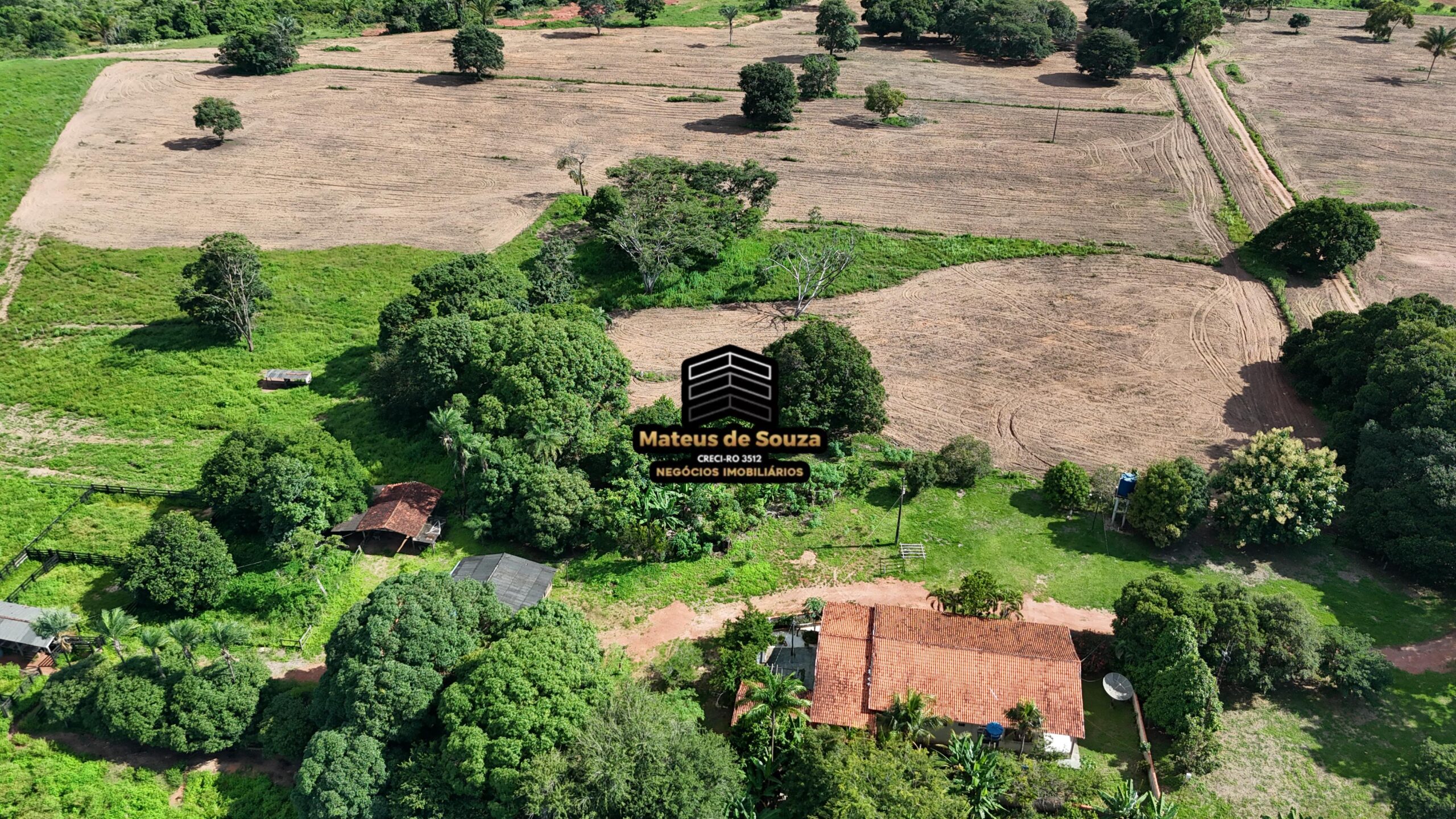 WhatsApp Image 2026-02-21 at 20.47.53