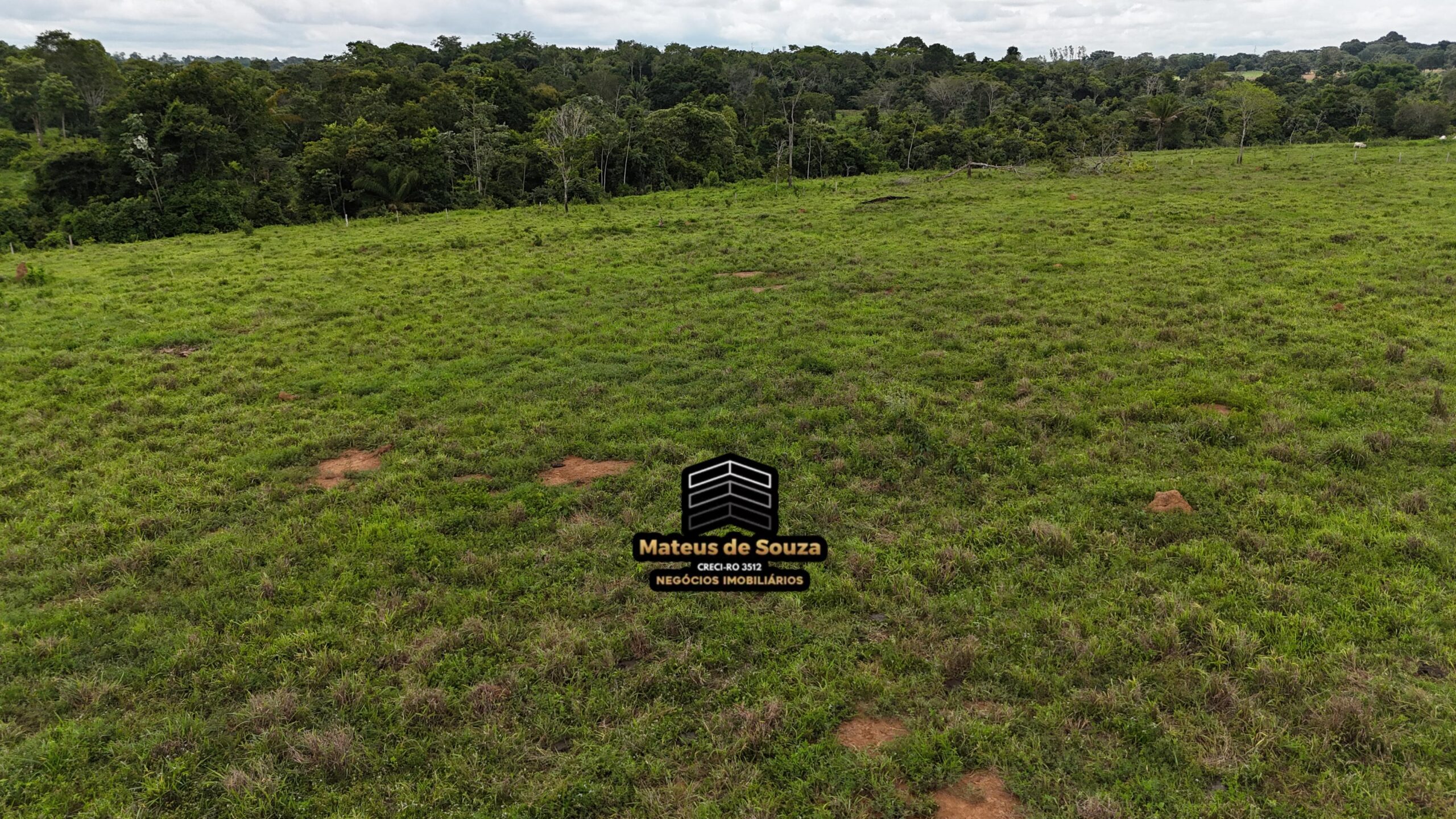 WhatsApp Image 2026-02-21 at 20.48.09