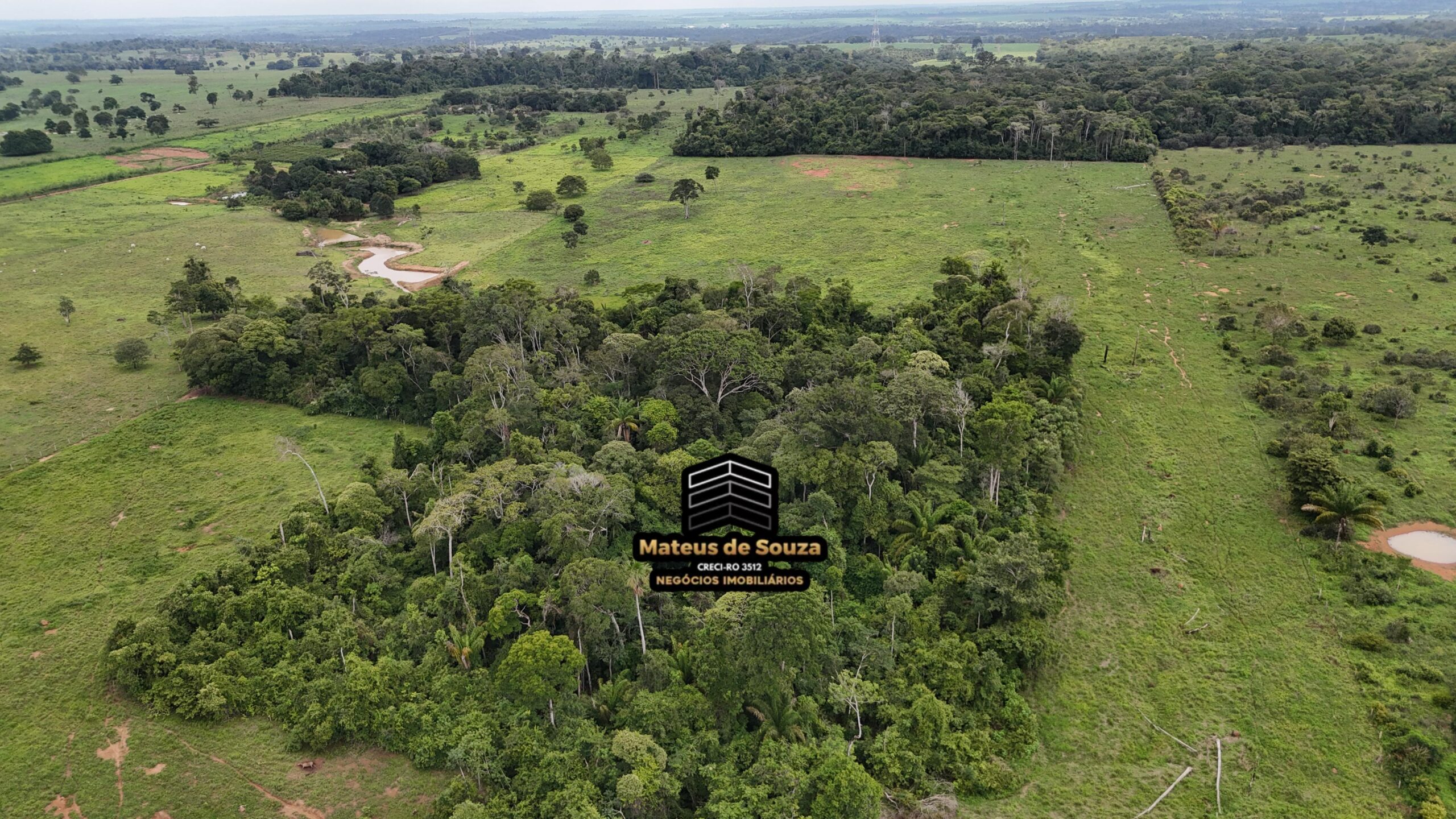 WhatsApp Image 2026-02-21 at 20.48.10 (2)