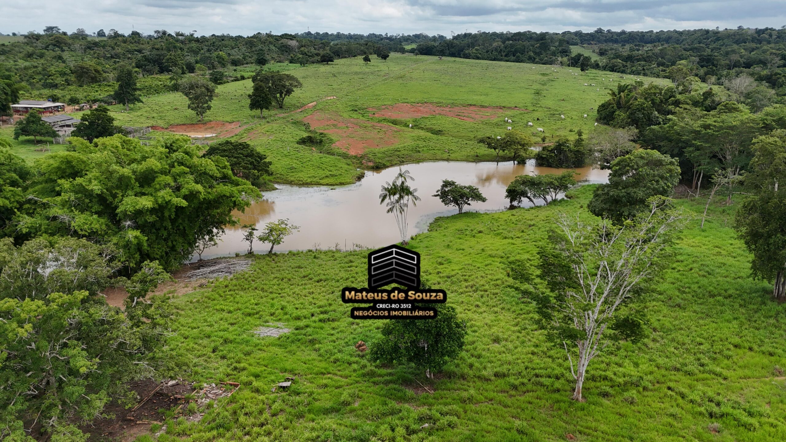 WhatsApp Image 2026-02-21 at 20.48.10