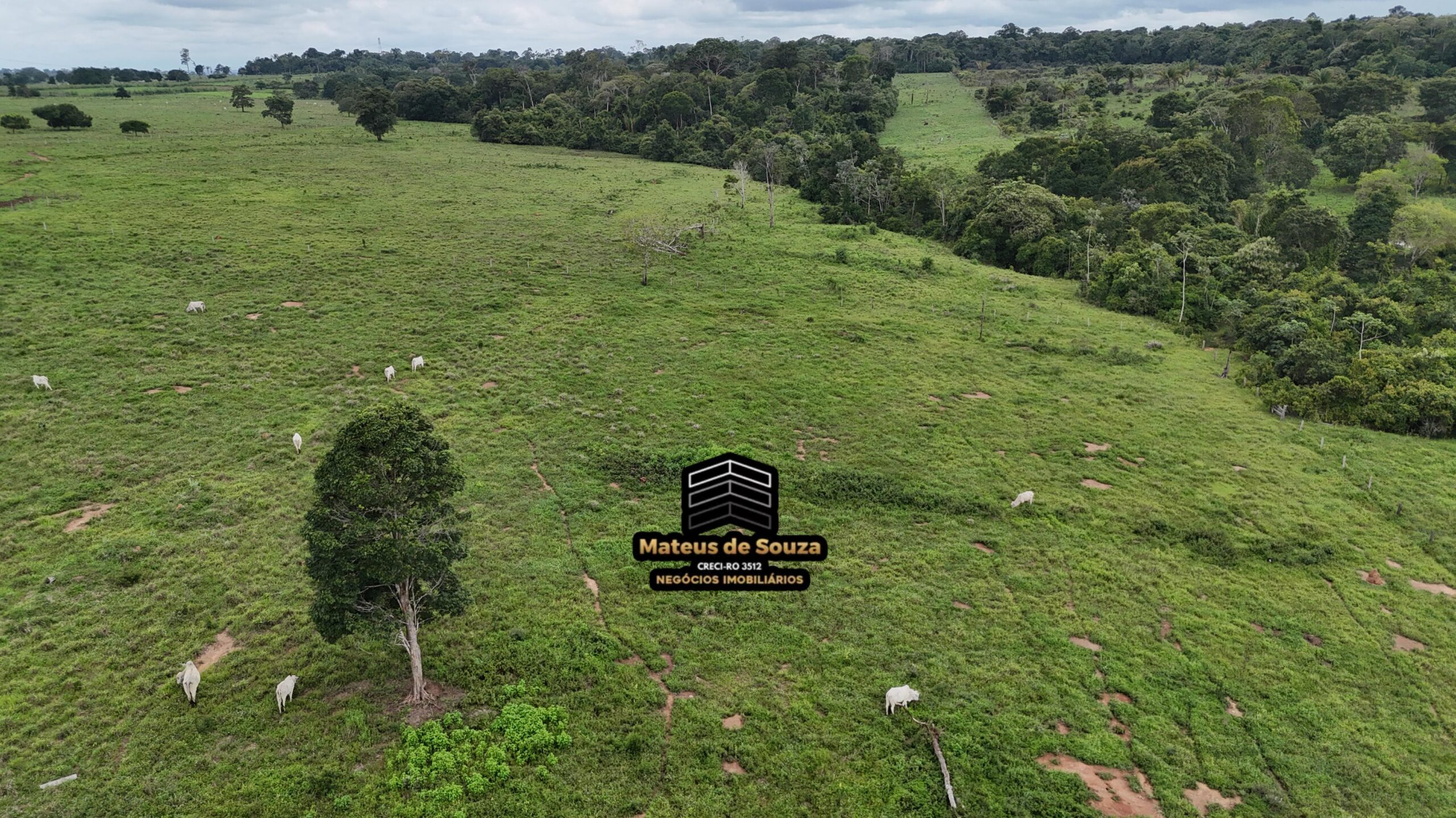 WhatsApp Image 2026-02-21 at 20.48.11 (1)