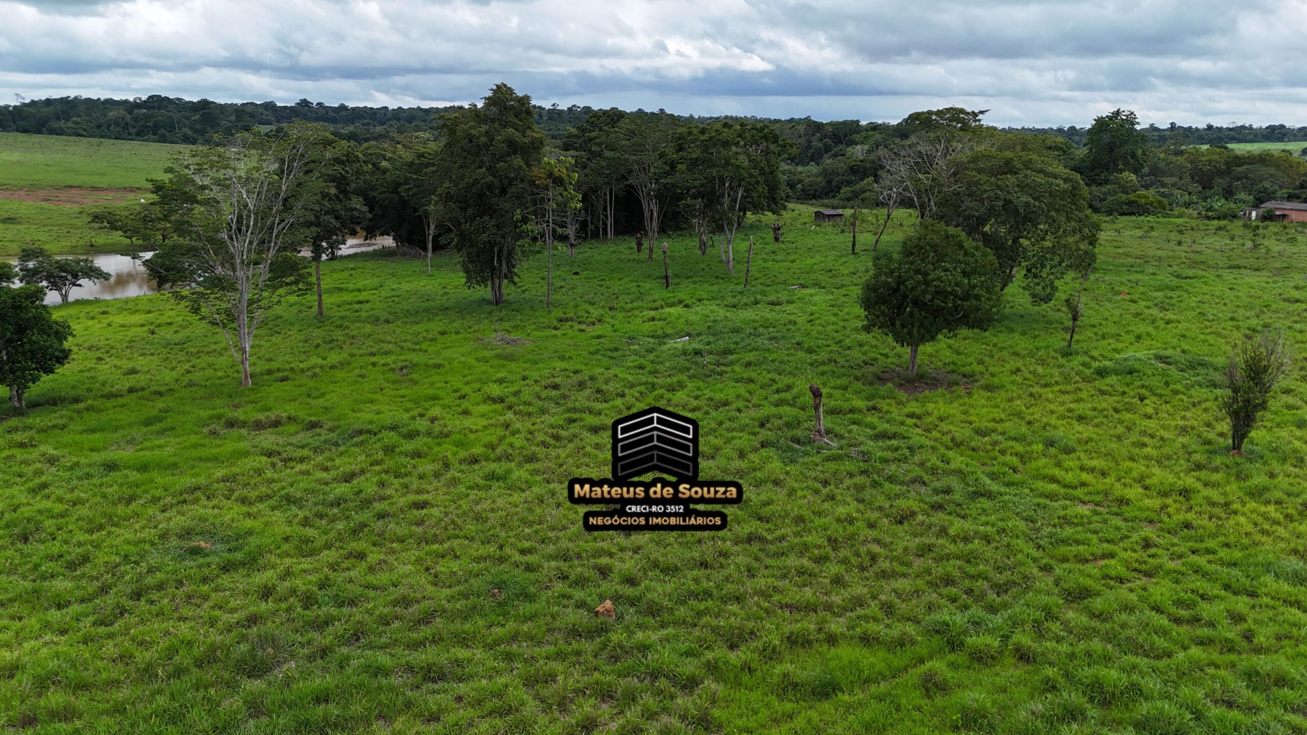 WhatsApp Image 2026-02-21 at 20.48.11