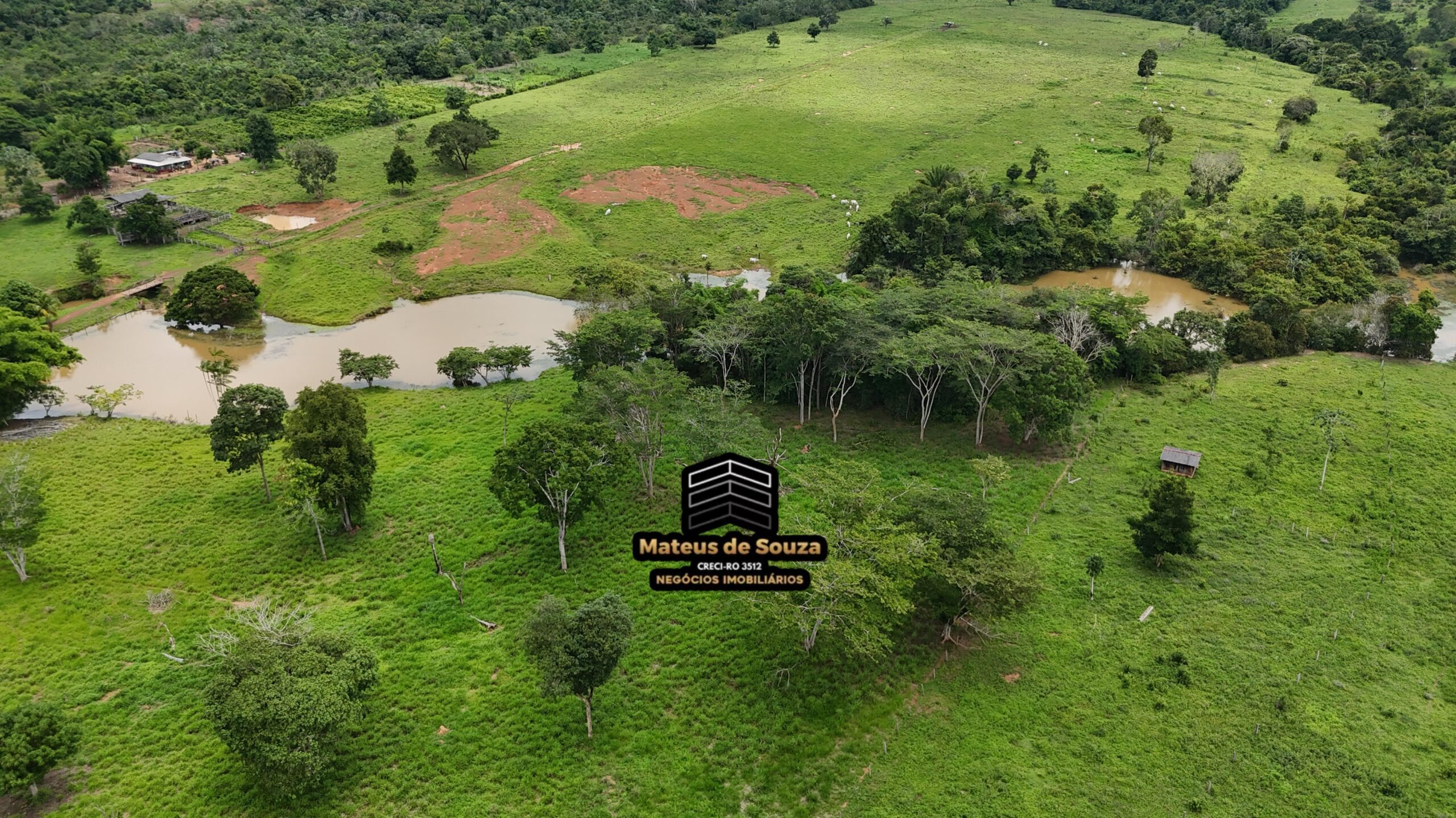 WhatsApp Image 2026-02-21 at 20.48.21 (1)