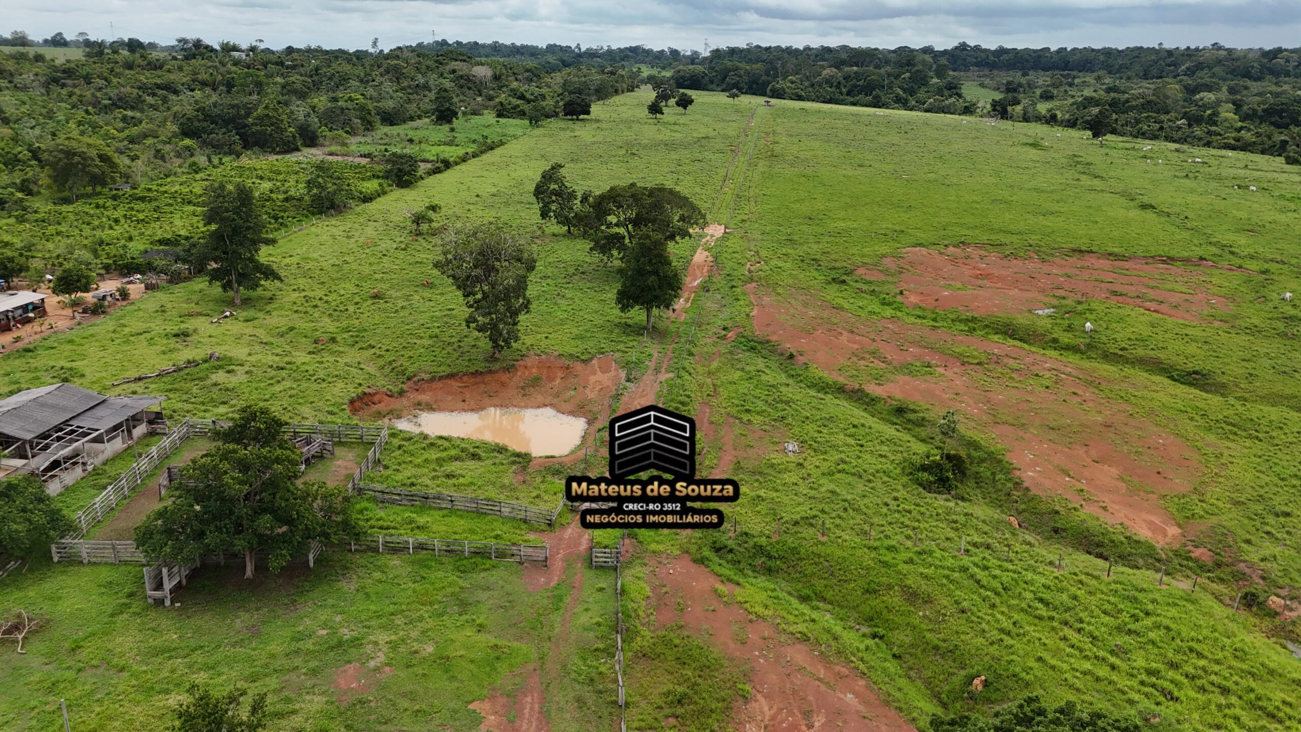 WhatsApp Image 2026-02-21 at 20.48.21 (2)