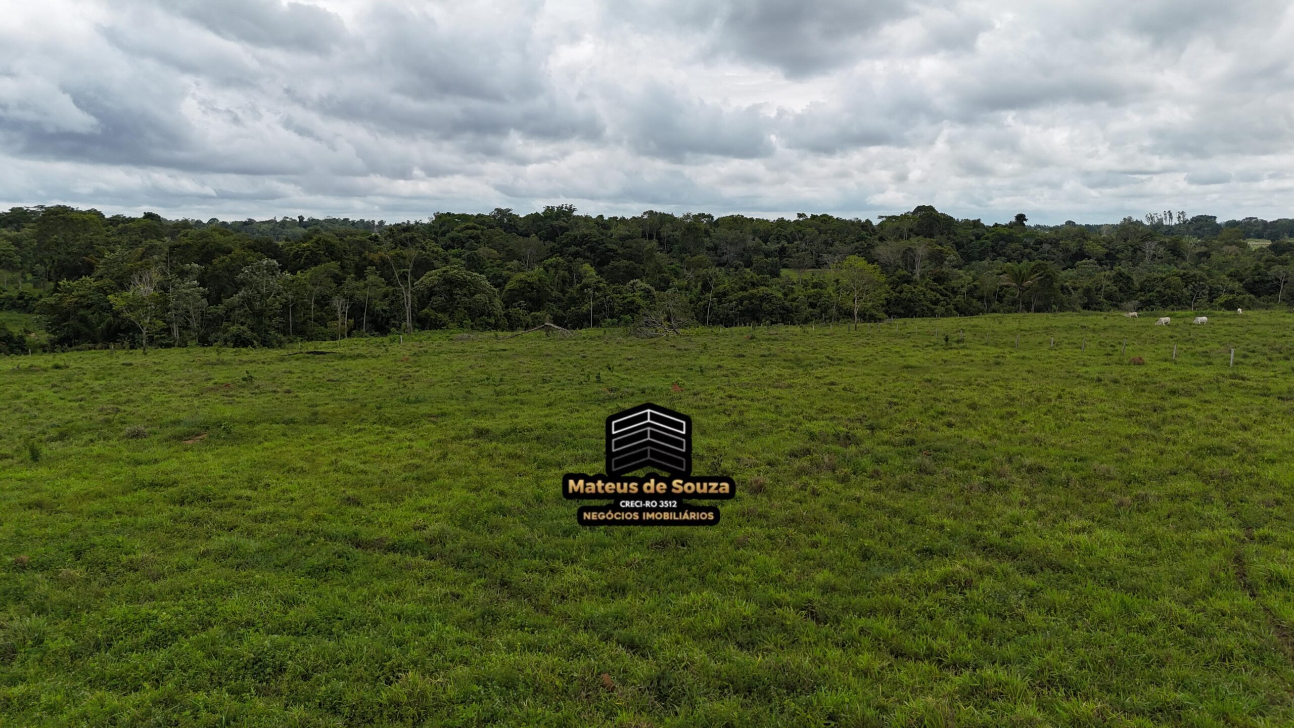 WhatsApp Image 2026-02-21 at 20.48.22 (1)