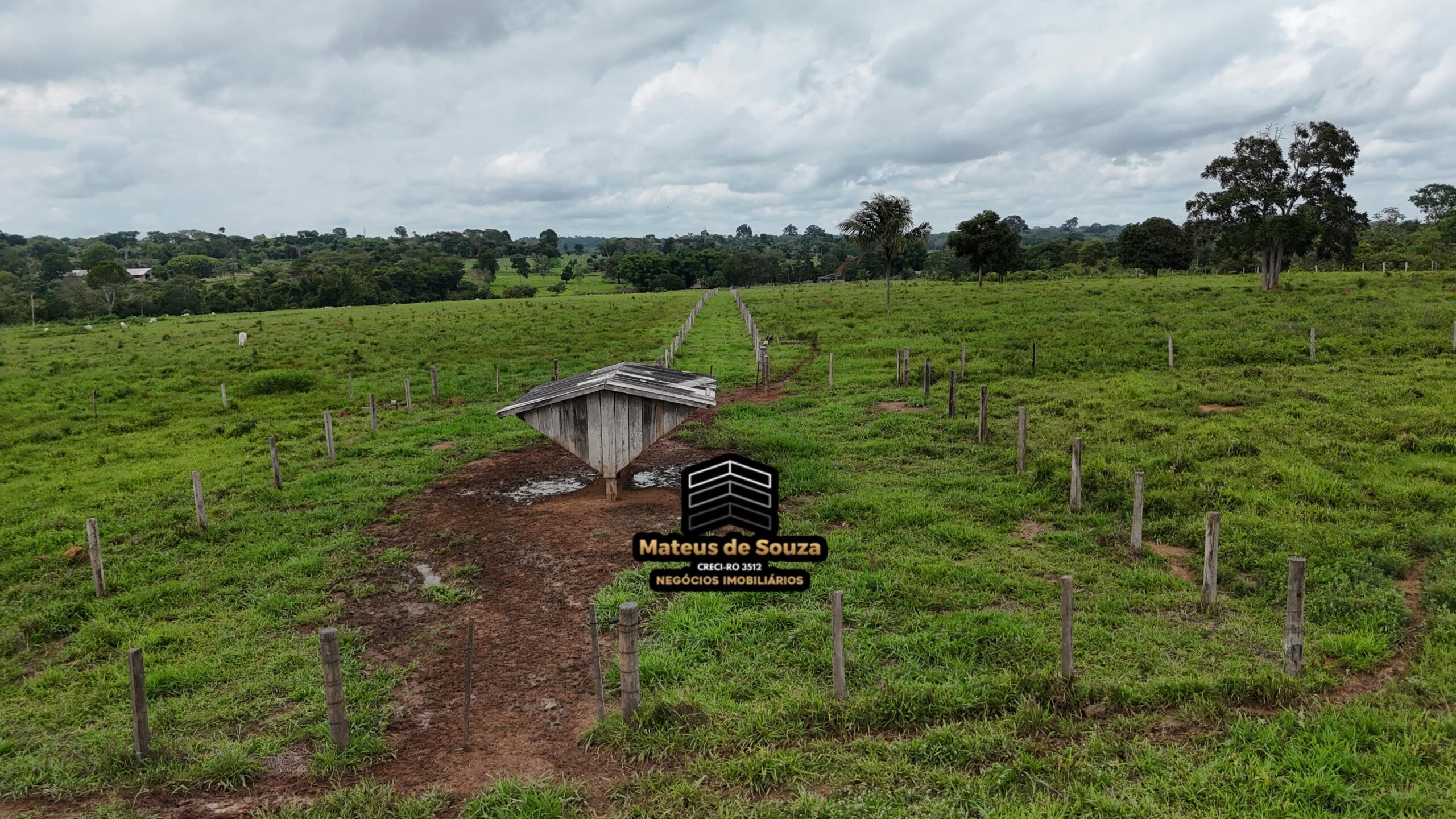 WhatsApp Image 2026-02-21 at 20.48.23