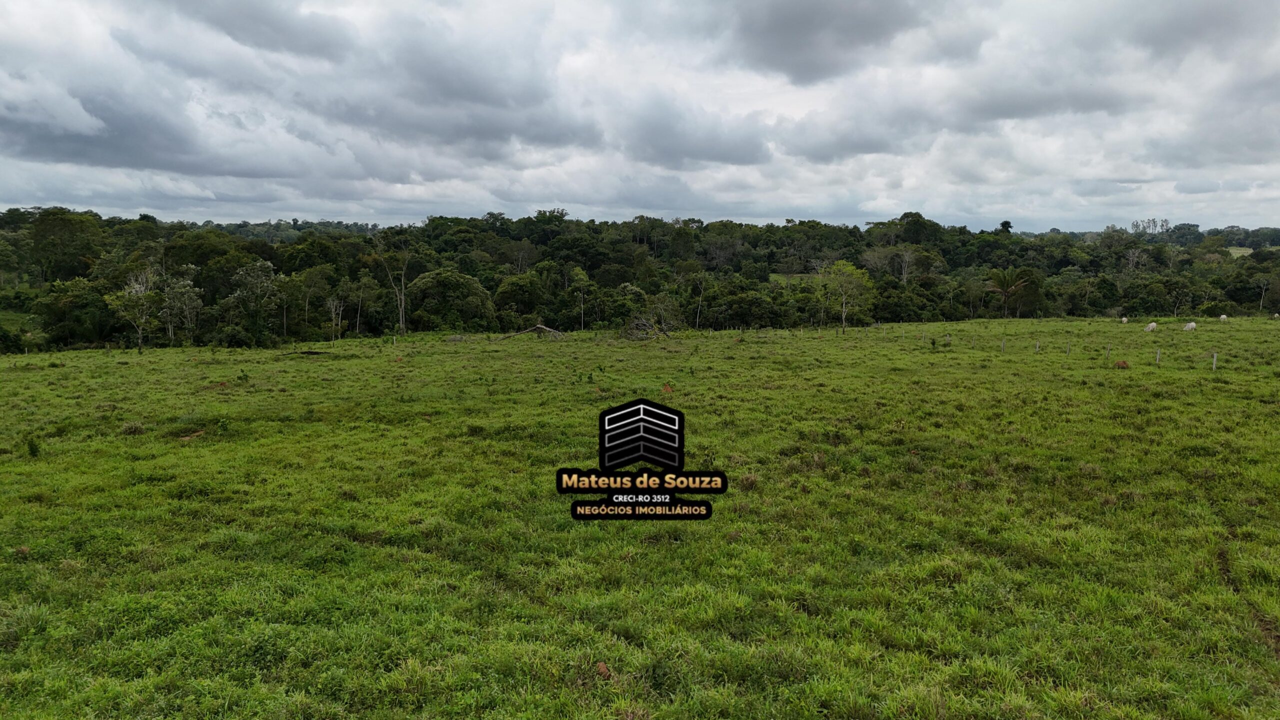 WhatsApp Image 2026-02-21 at 20.48.24 (1)