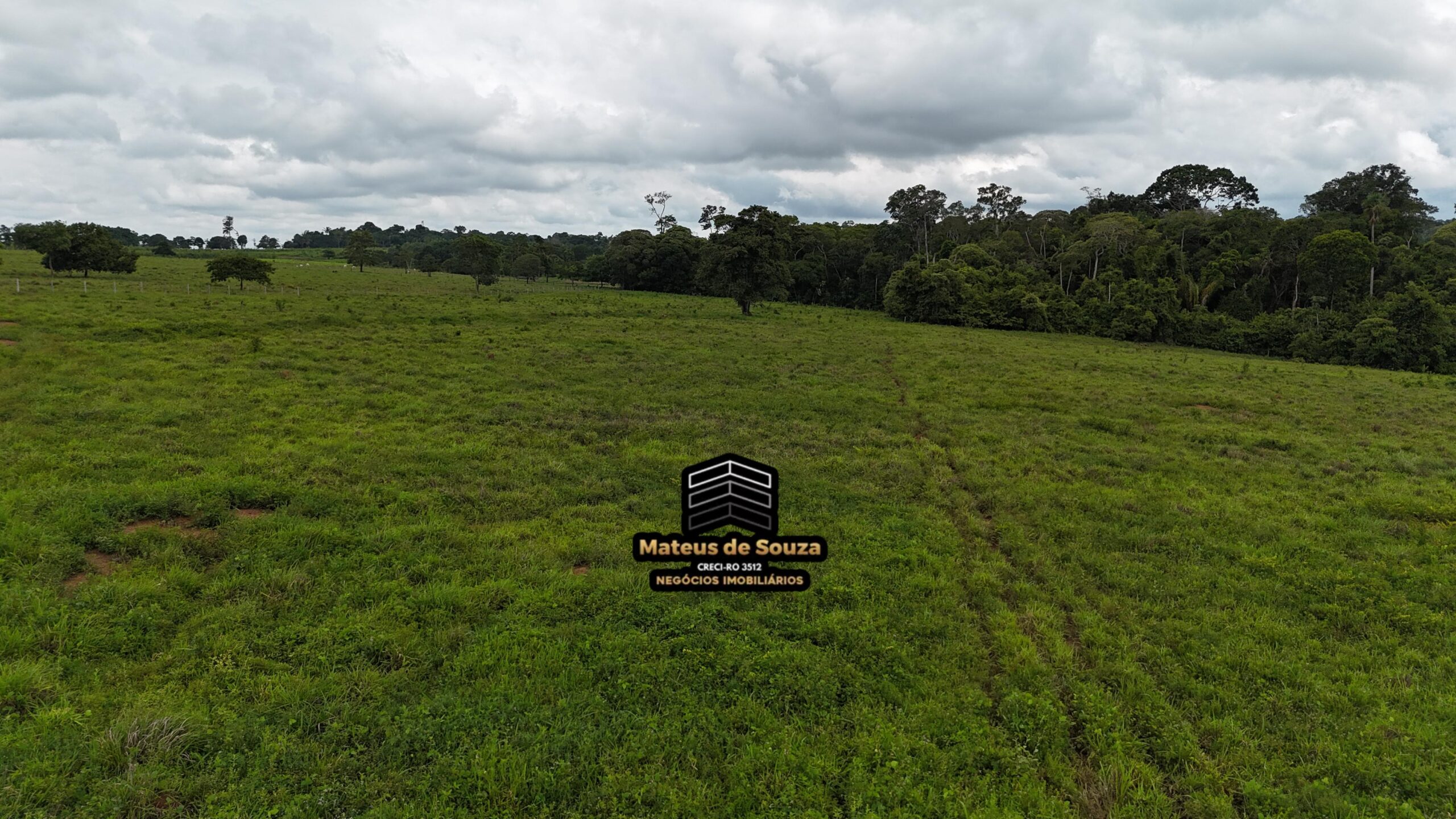 WhatsApp Image 2026-02-21 at 20.48.24 (2)