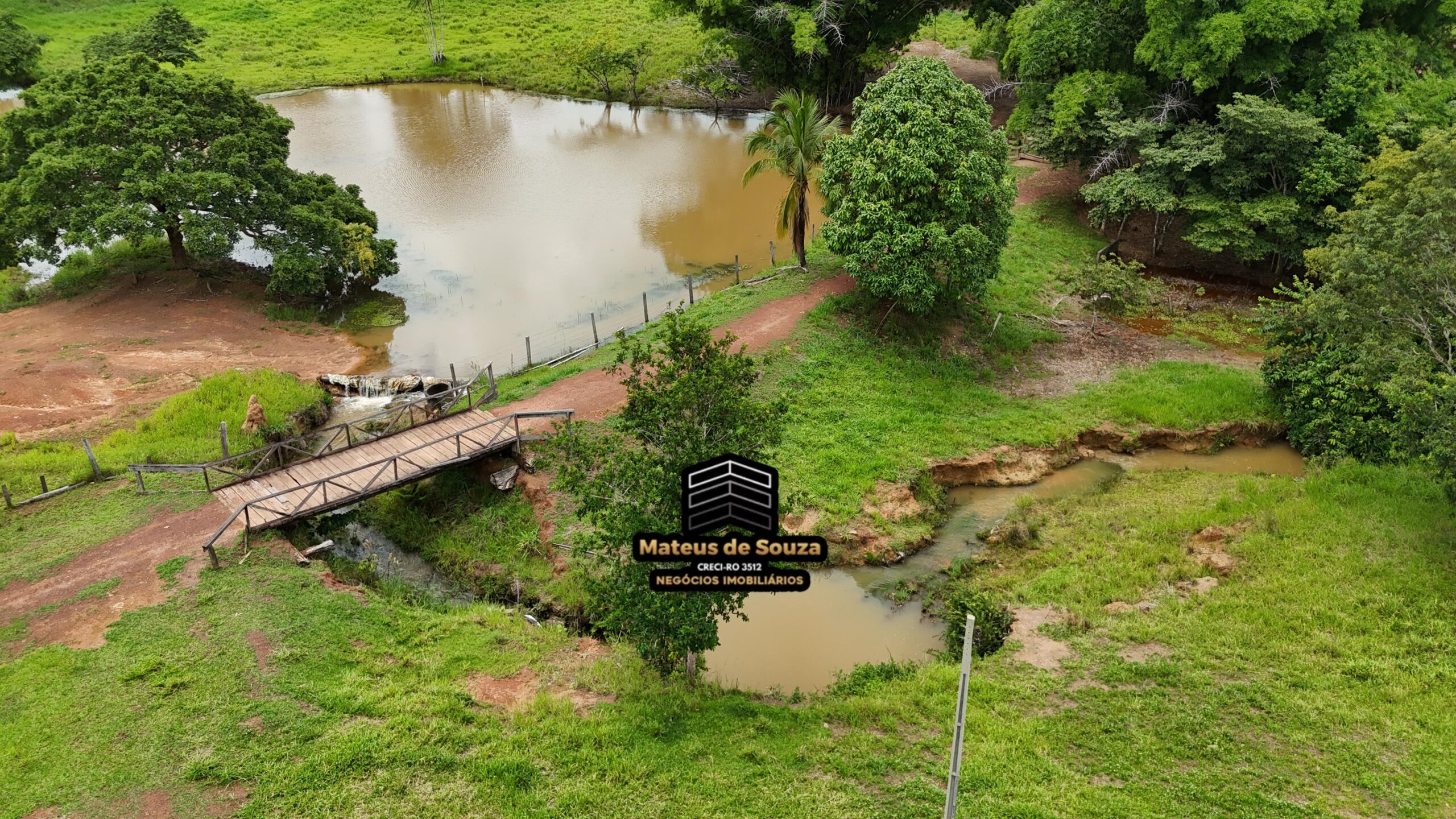 WhatsApp Image 2026-02-21 at 20.48.24