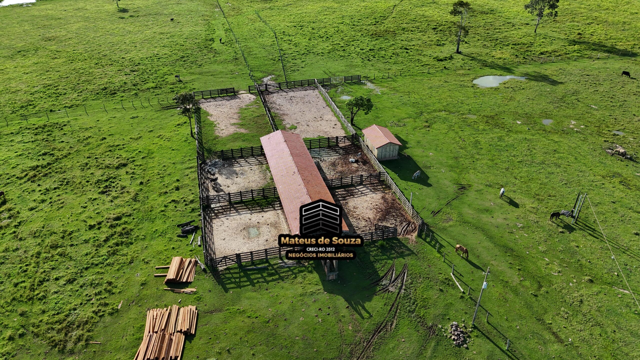 WhatsApp Image 2026-02-21 at 20.48.25 (1)