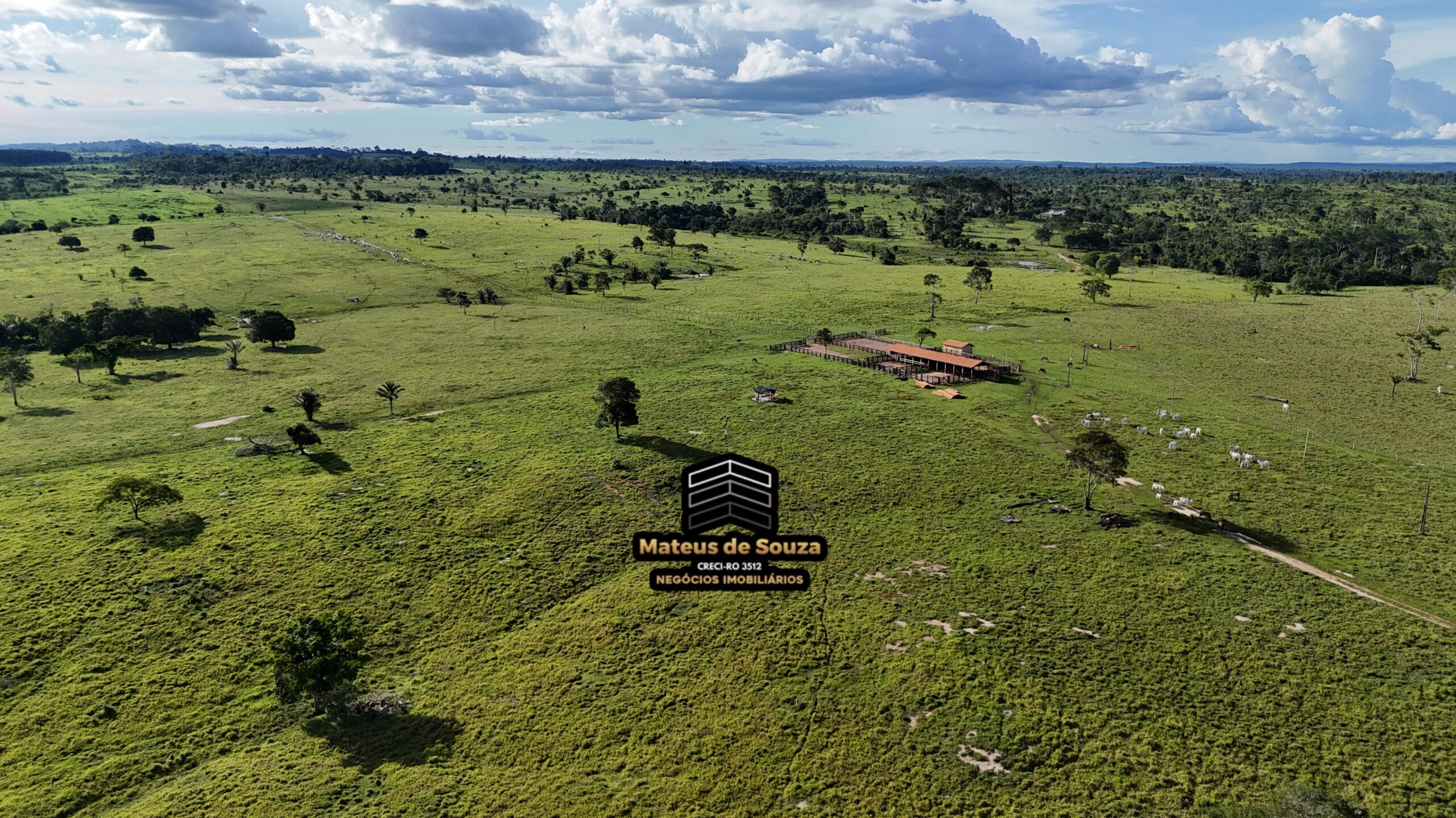 WhatsApp Image 2026-02-21 at 20.48.25 (2)