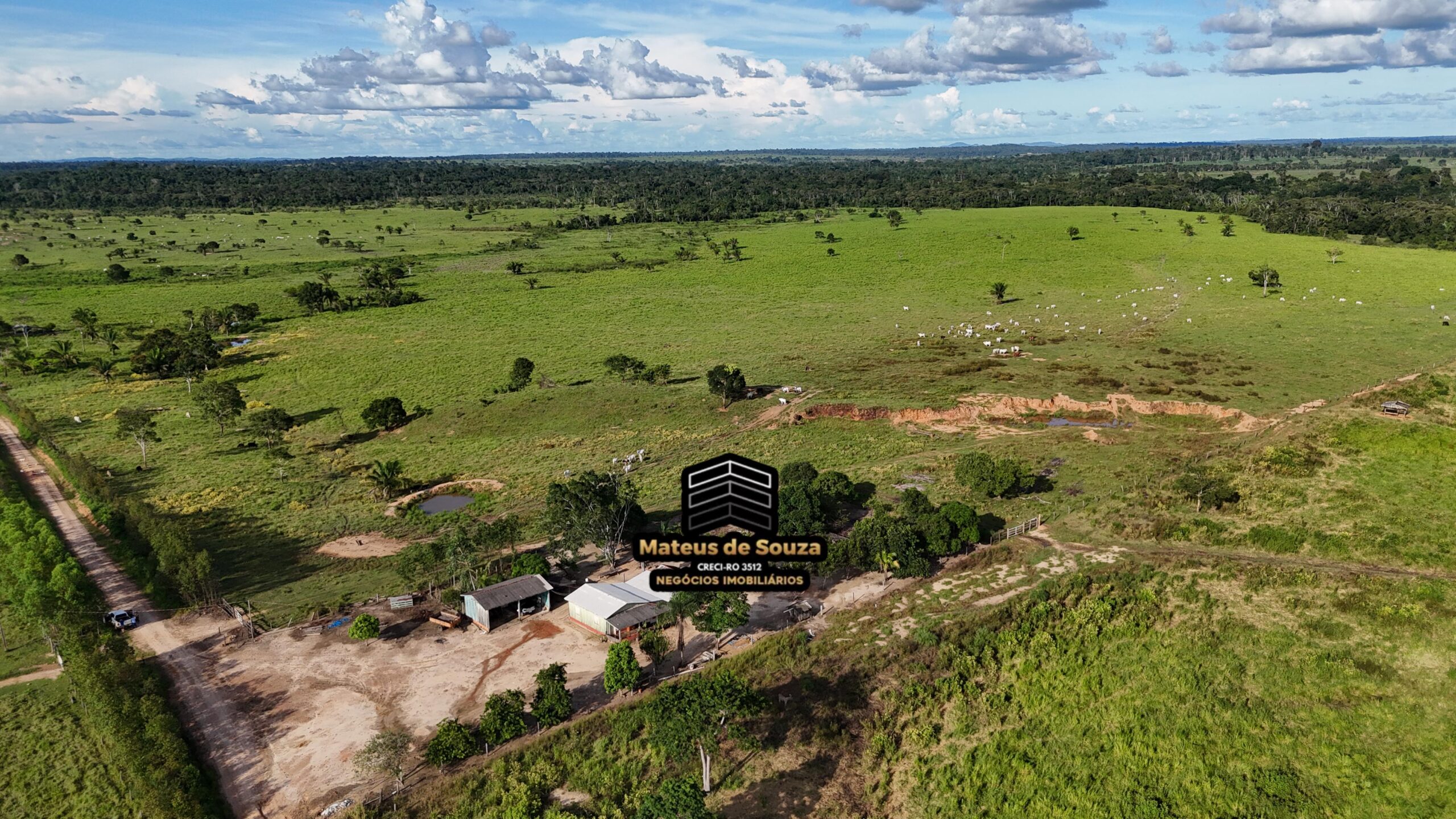 WhatsApp Image 2026-02-21 at 20.48.26 (1)