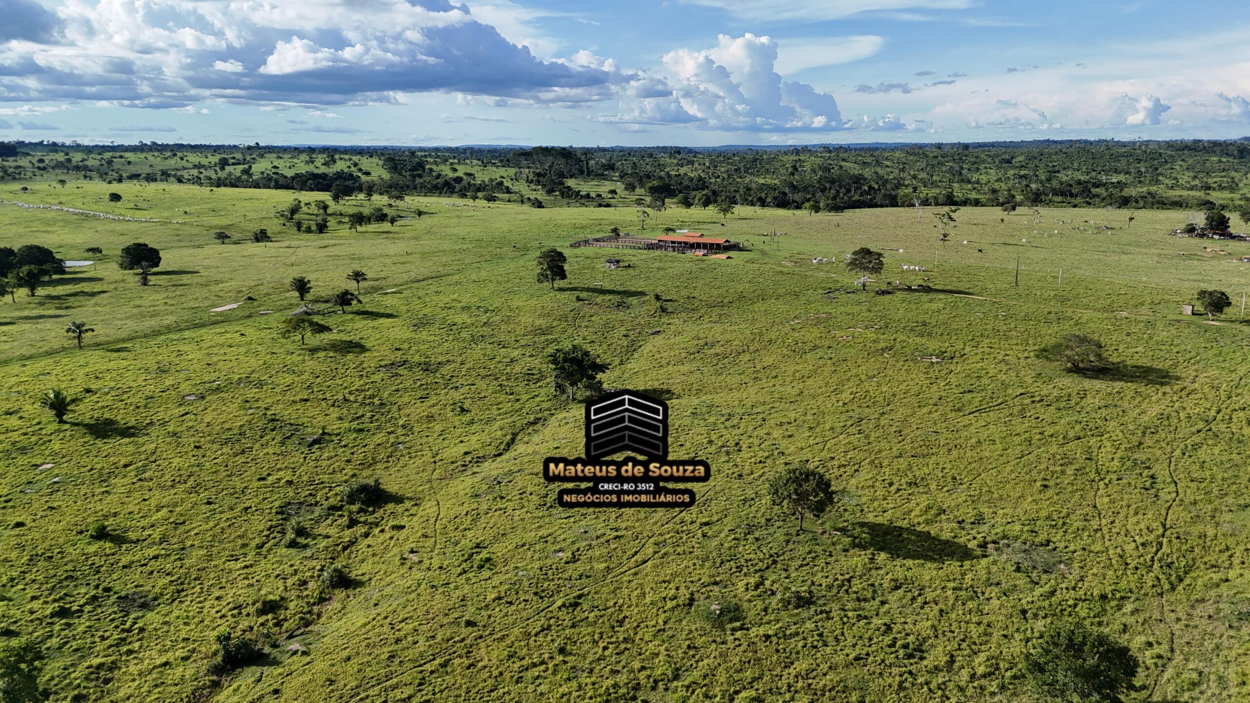 WhatsApp Image 2026-02-21 at 20.48.26 (2)