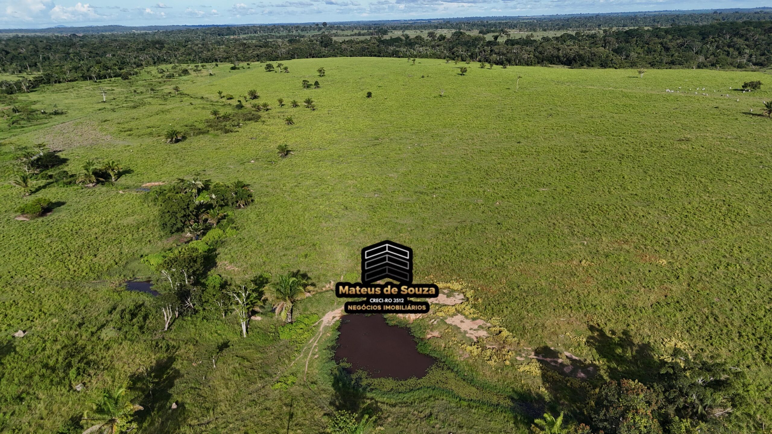 WhatsApp Image 2026-02-21 at 20.48.26