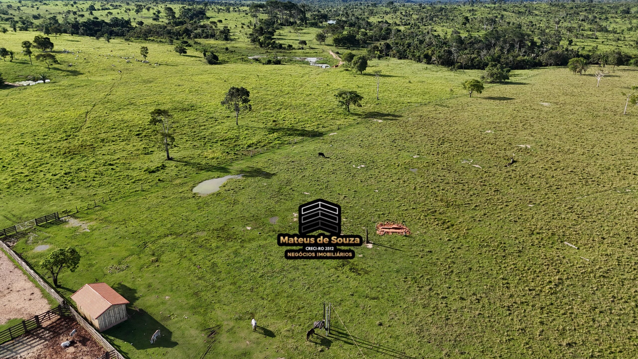 WhatsApp Image 2026-02-21 at 20.48.27 (2)