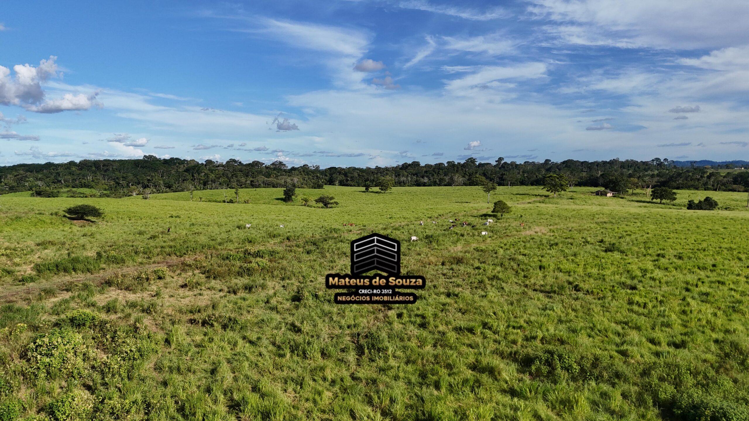 WhatsApp Image 2026-02-21 at 20.48.28 (3)