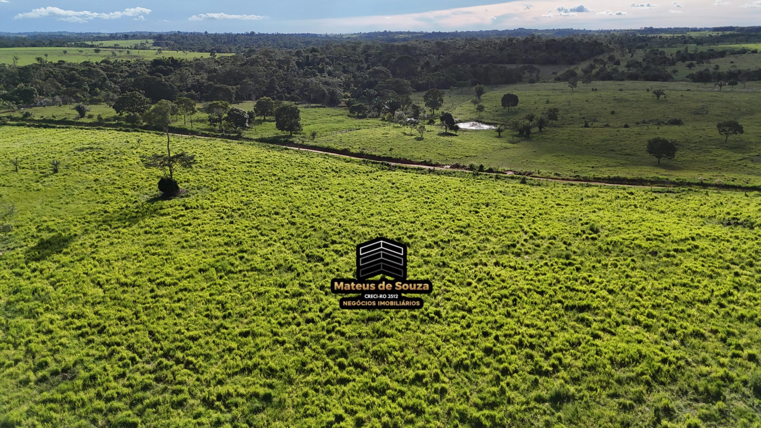 WhatsApp Image 2026-02-21 at 20.48.28