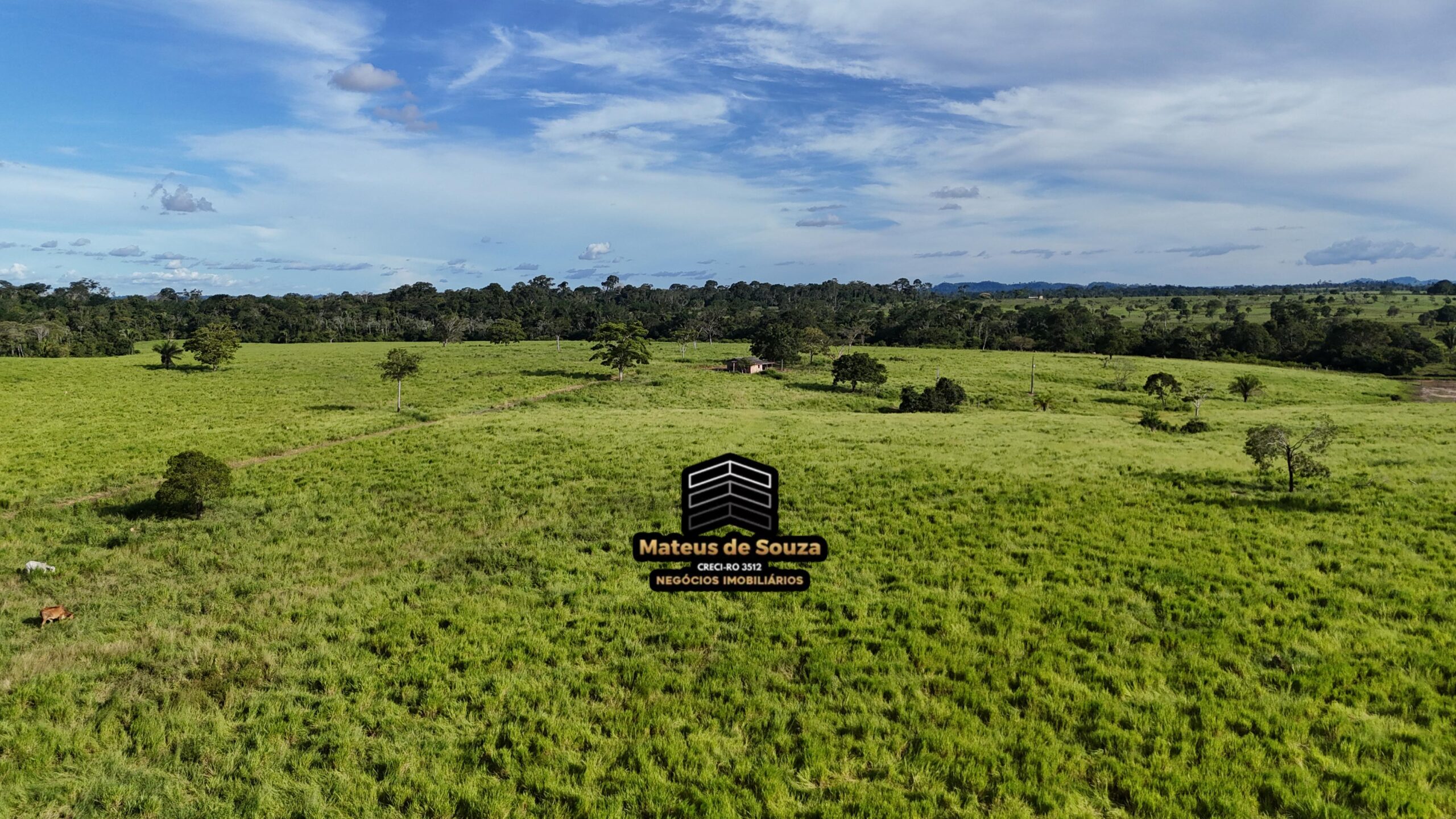 WhatsApp Image 2026-02-21 at 20.48.29