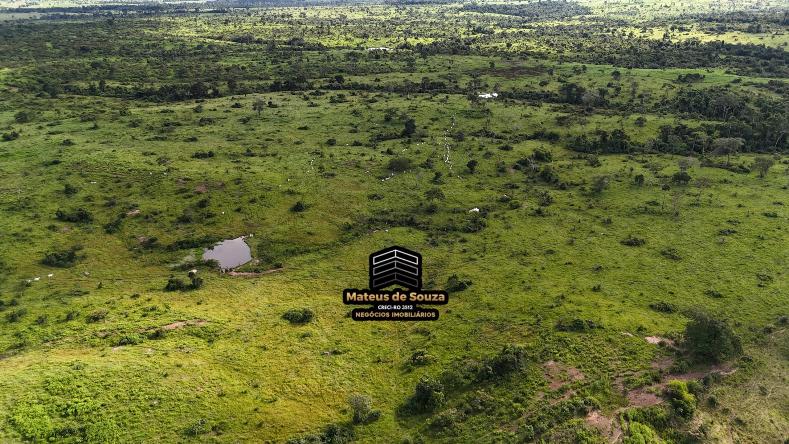 WhatsApp Image 2026-02-21 at 20.48.30 (1)