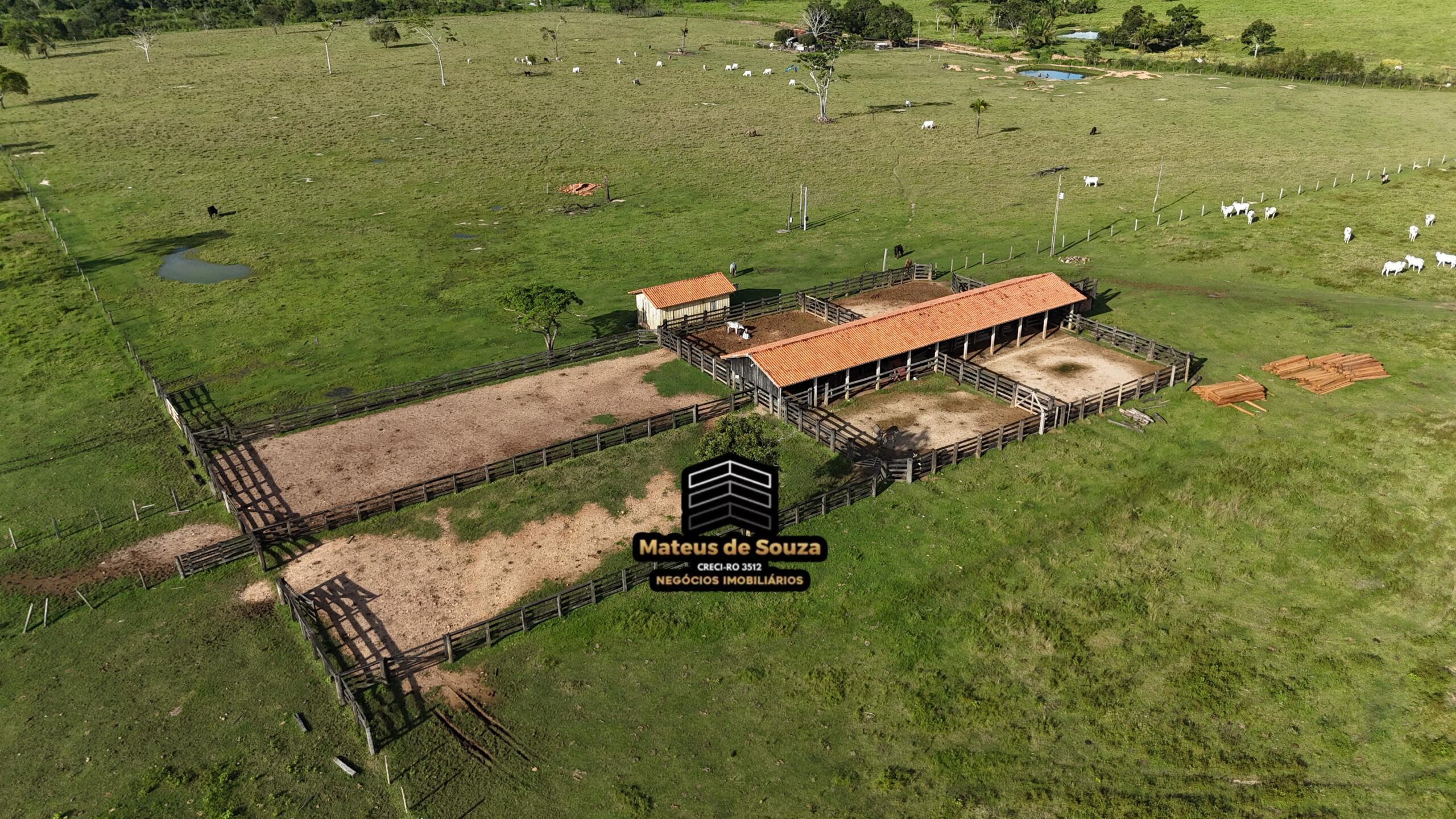 WhatsApp Image 2026-02-21 at 20.48.30