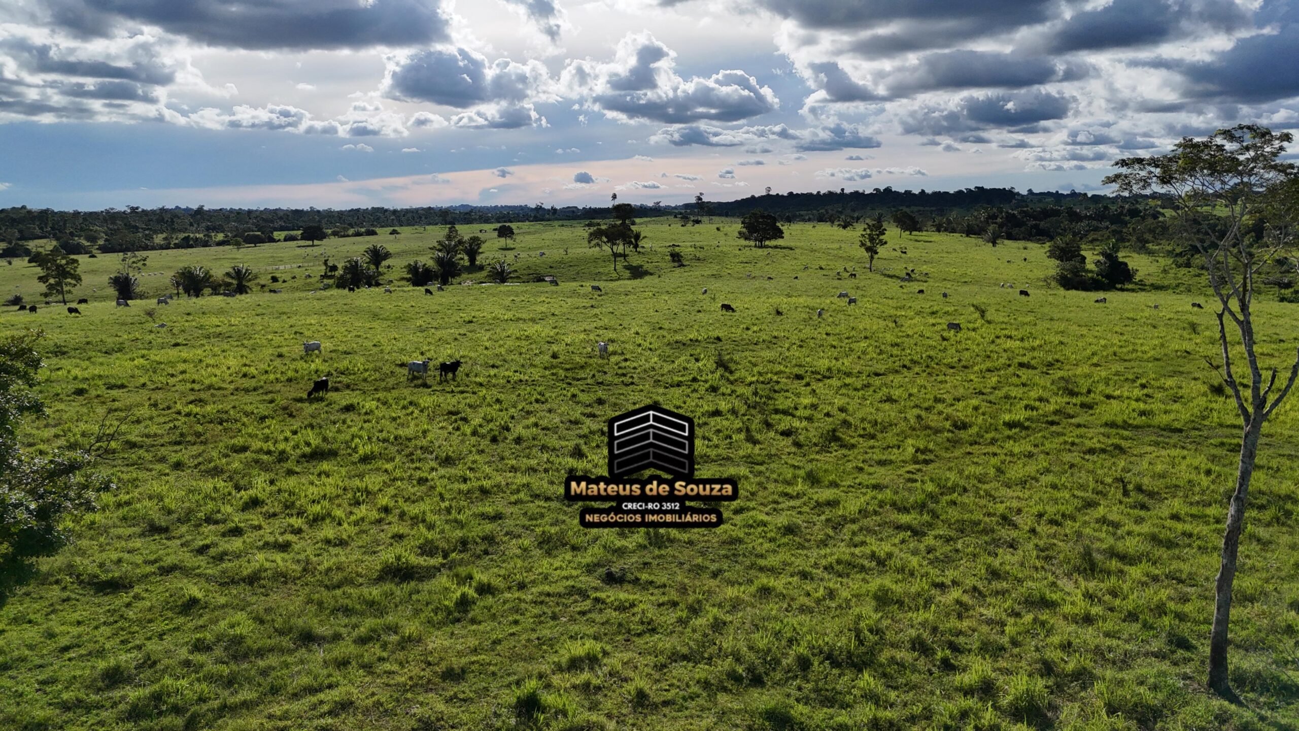 WhatsApp Image 2026-02-21 at 20.48.31 (1)