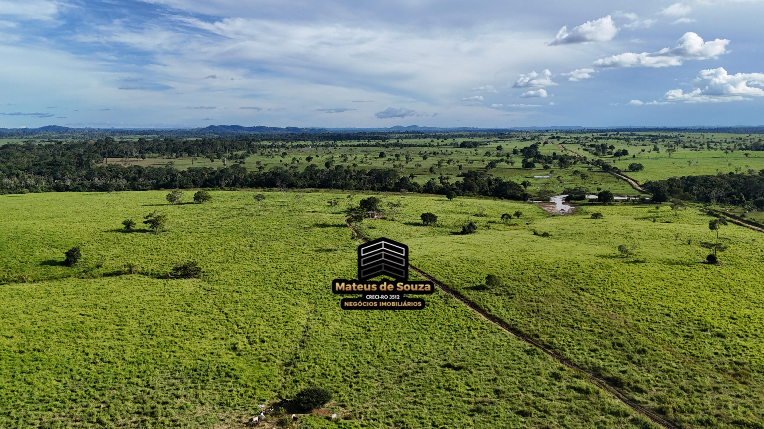 WhatsApp Image 2026-02-21 at 20.48.31 (2)