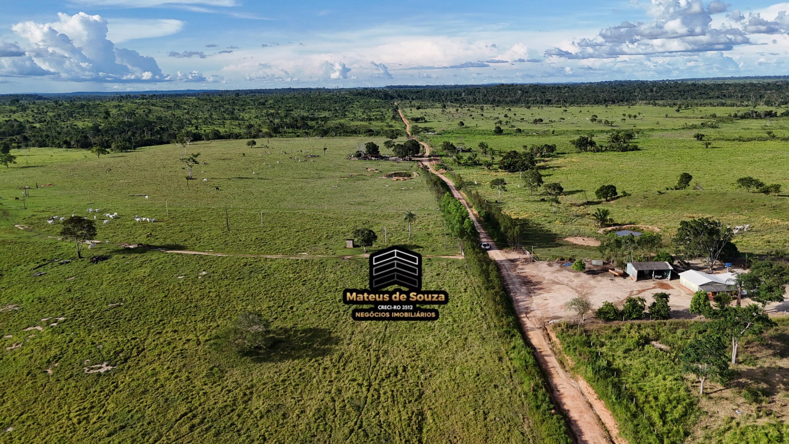 WhatsApp Image 2026-02-21 at 20.48.31