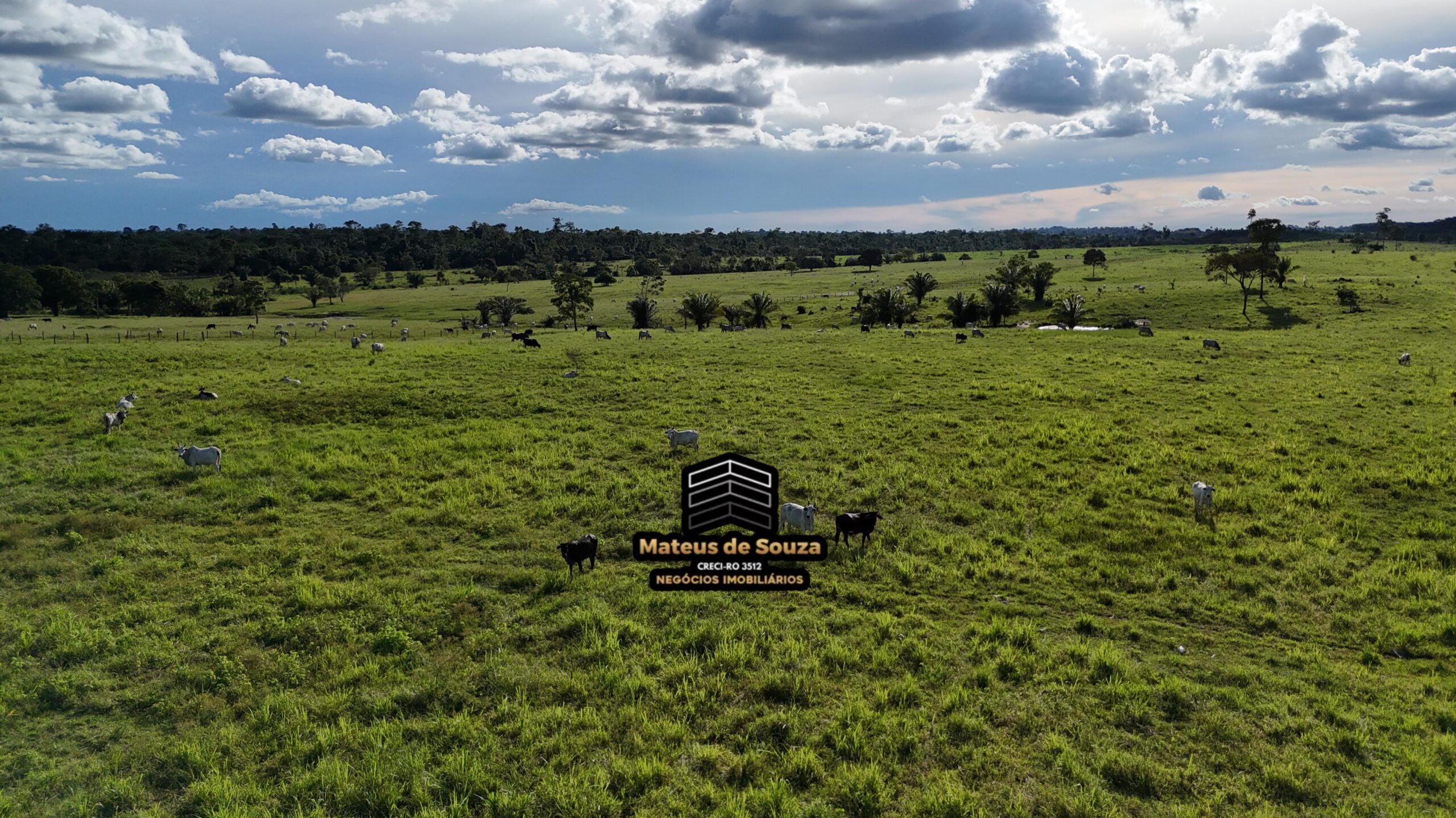 WhatsApp Image 2026-02-21 at 20.48.32