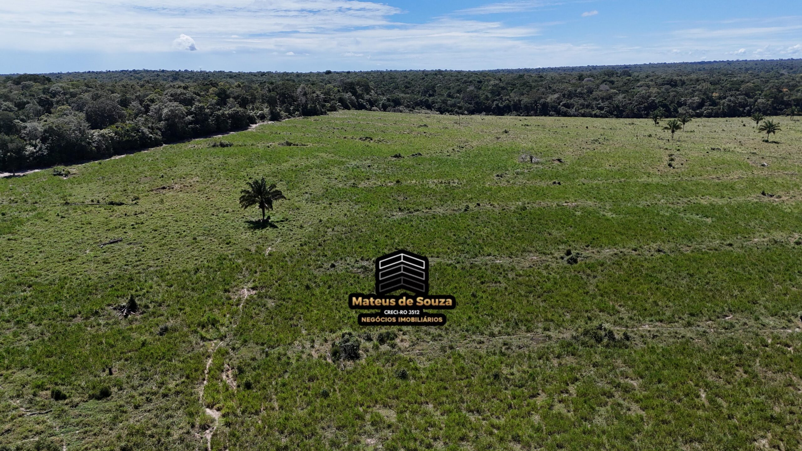 WhatsApp Image 2026-02-21 at 20.48.45