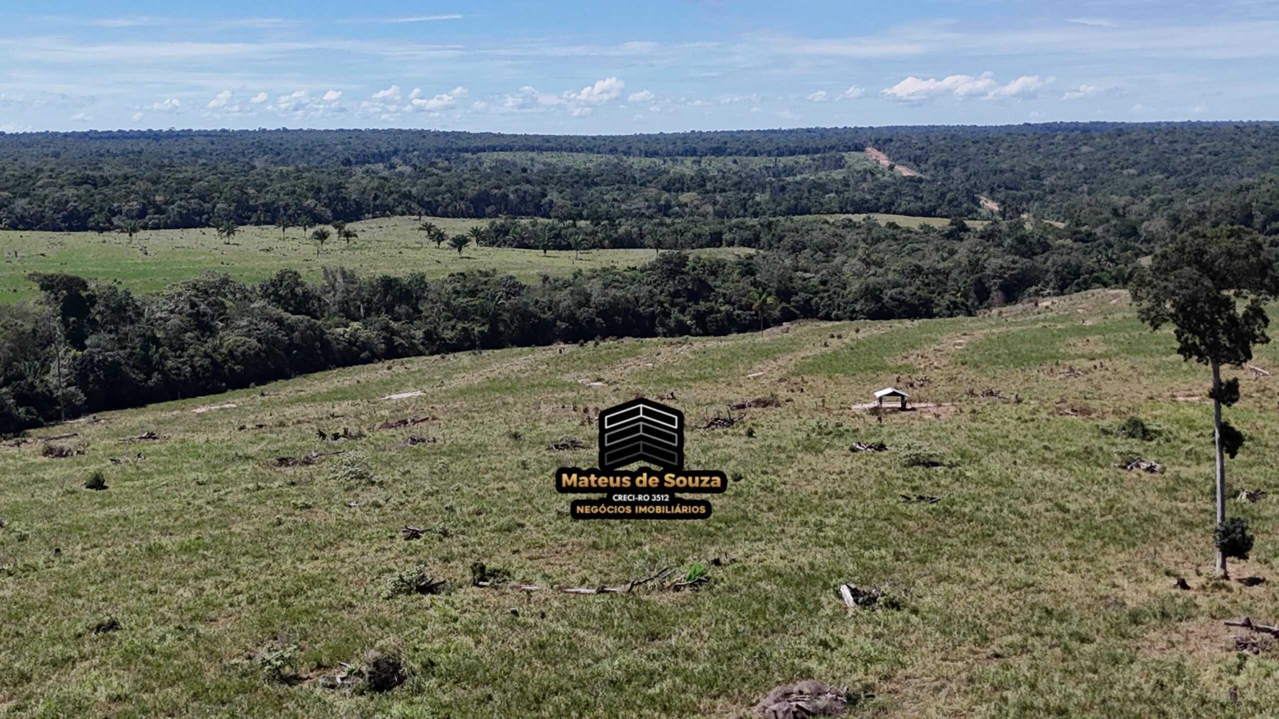 WhatsApp Image 2026-02-21 at 20.48.47 (1)