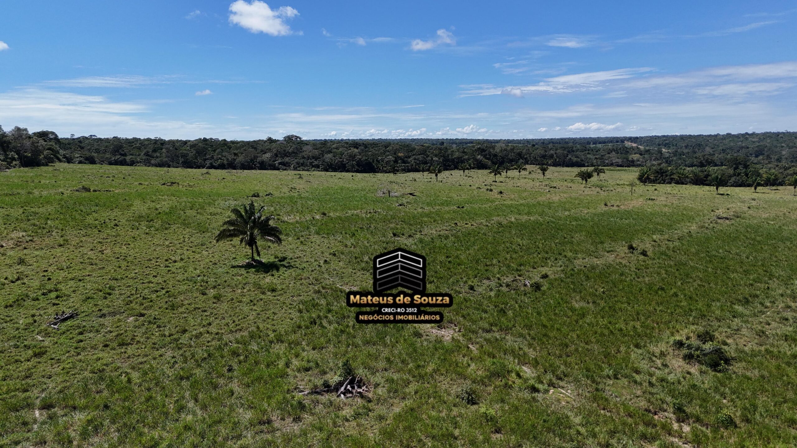 WhatsApp Image 2026-02-21 at 20.48.47