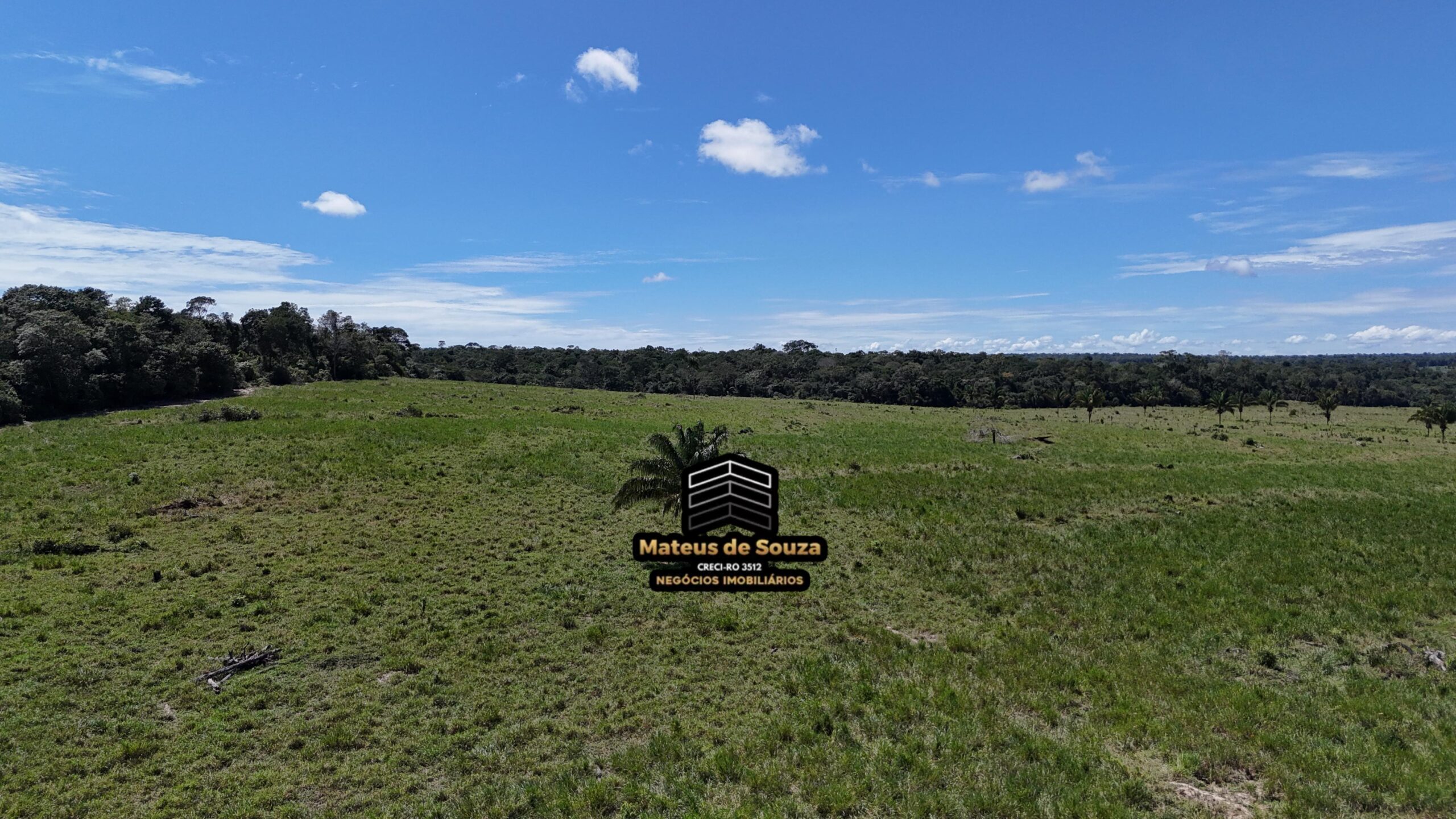 WhatsApp Image 2026-02-21 at 20.48.49