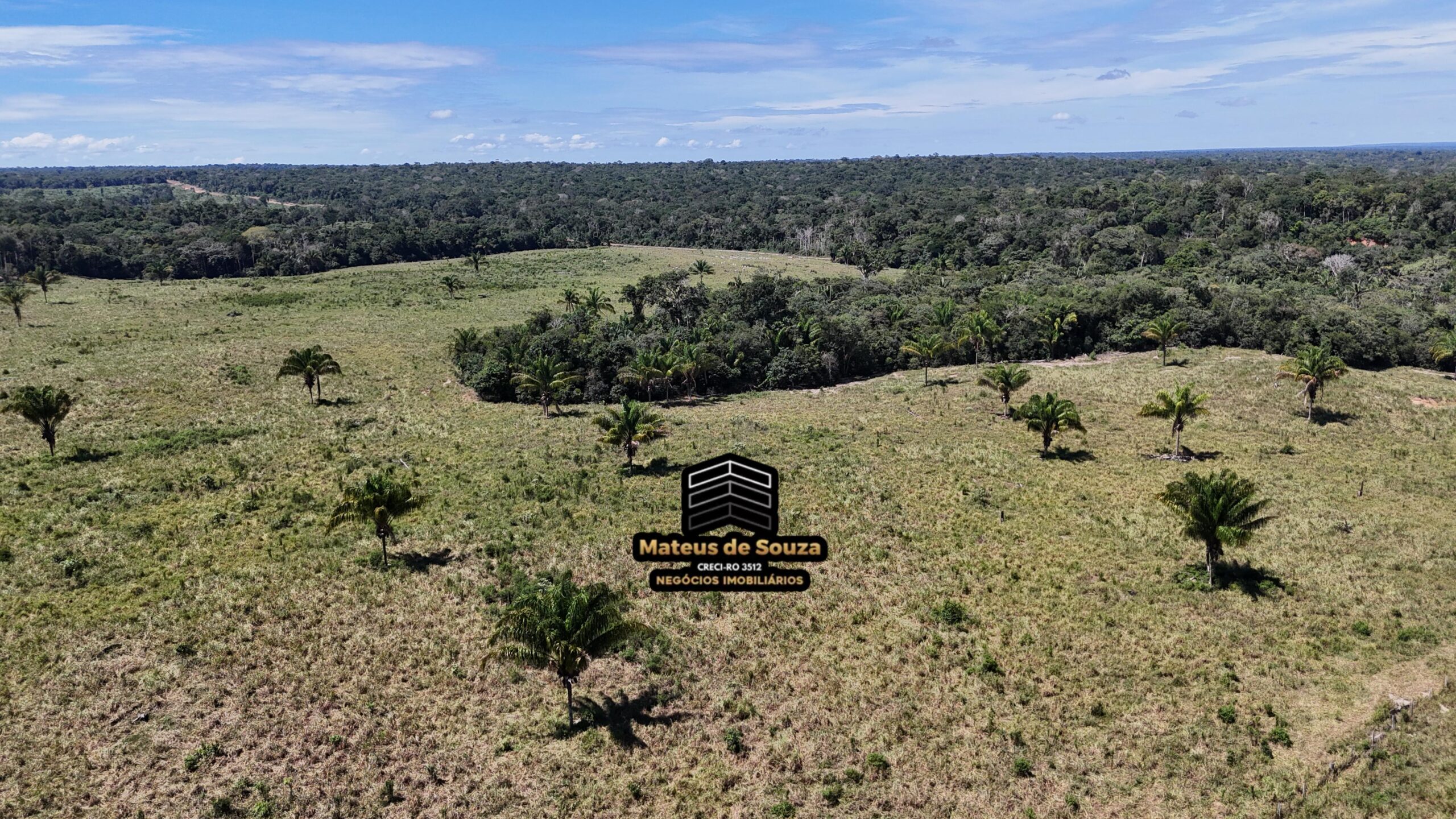 WhatsApp Image 2026-02-21 at 20.48.50