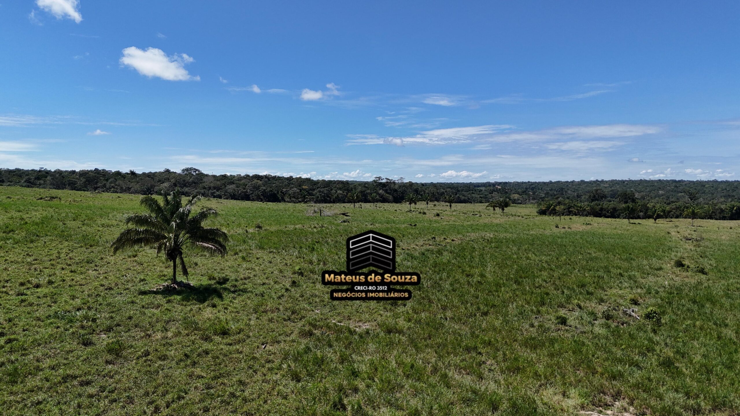 WhatsApp Image 2026-02-21 at 20.48.51 (1)