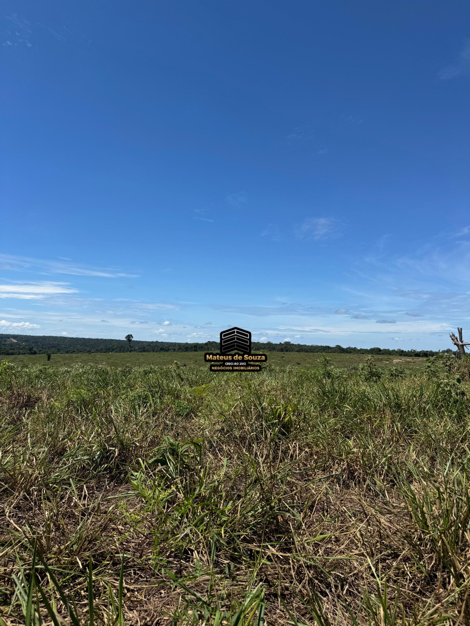 WhatsApp Image 2026-02-21 at 20.48.51 (2)