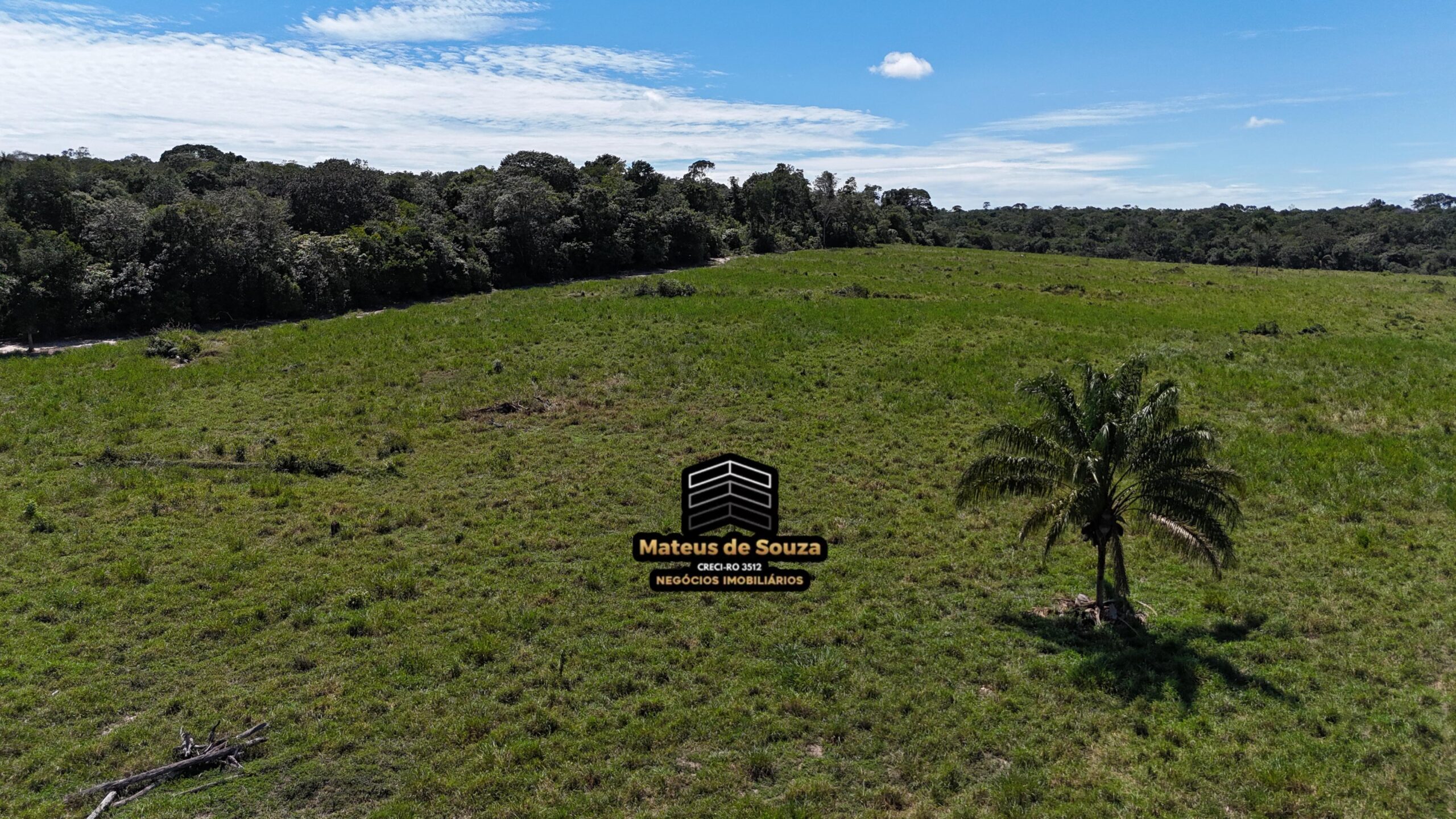 WhatsApp Image 2026-02-21 at 20.48.51