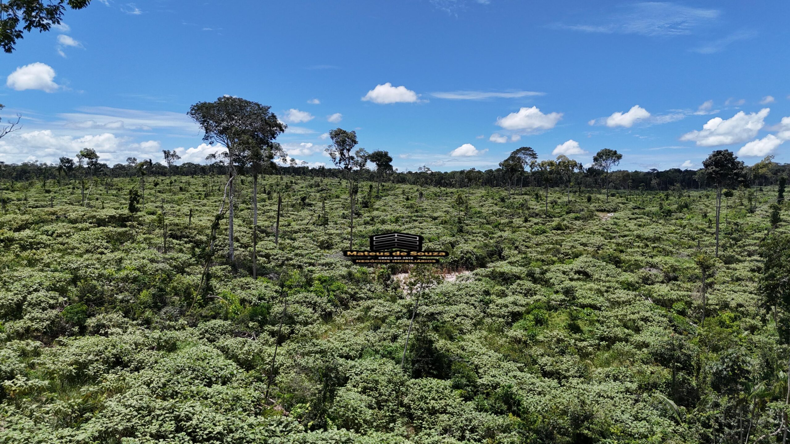 WhatsApp Image 2026-02-21 at 20.48.53