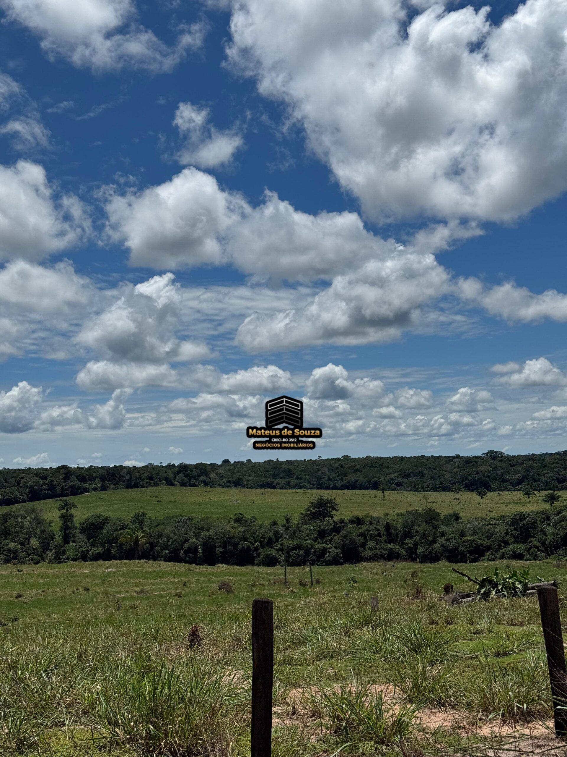 WhatsApp Image 2026-02-21 at 20.48.54