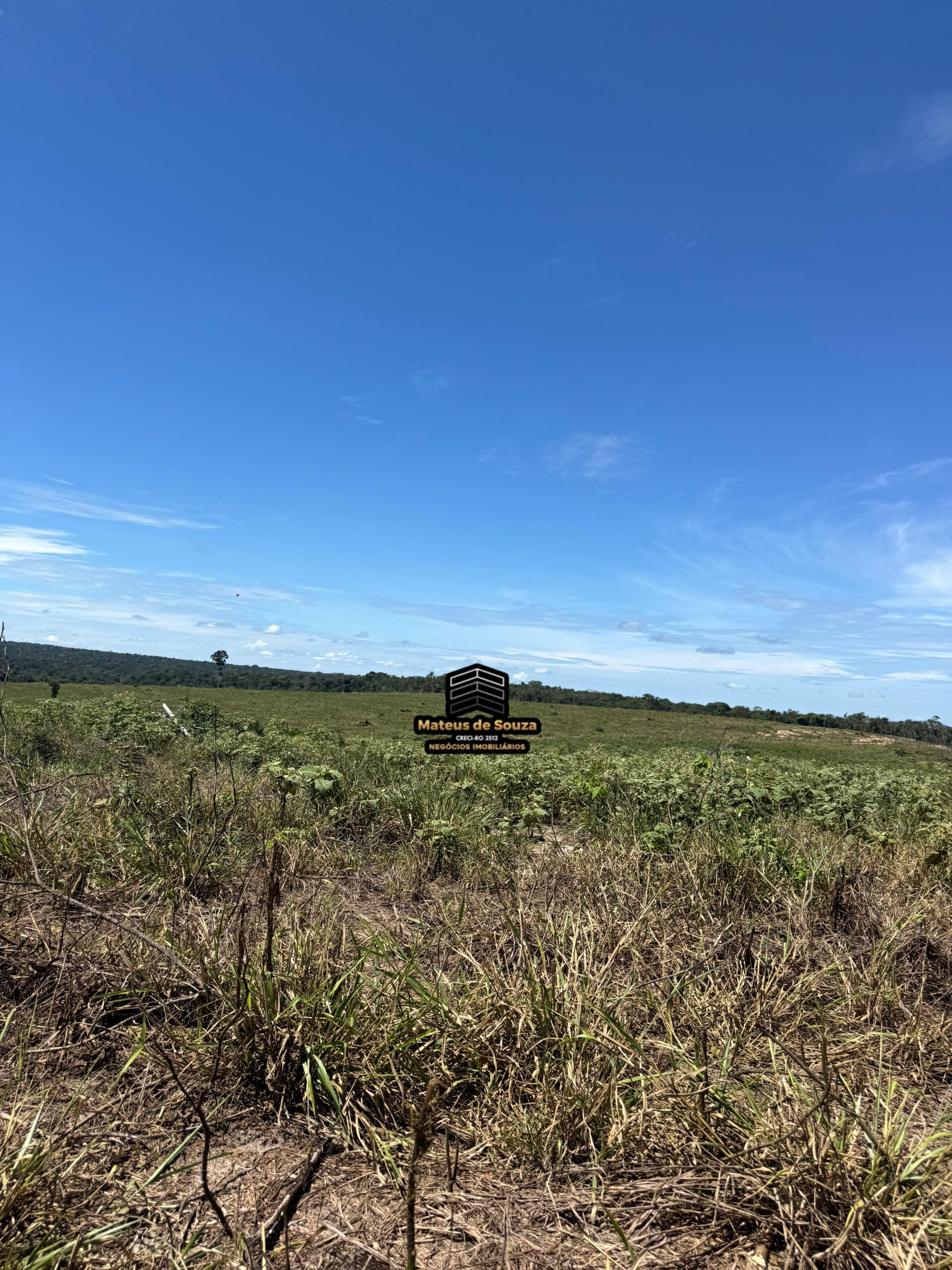 WhatsApp Image 2026-02-21 at 20.48.56