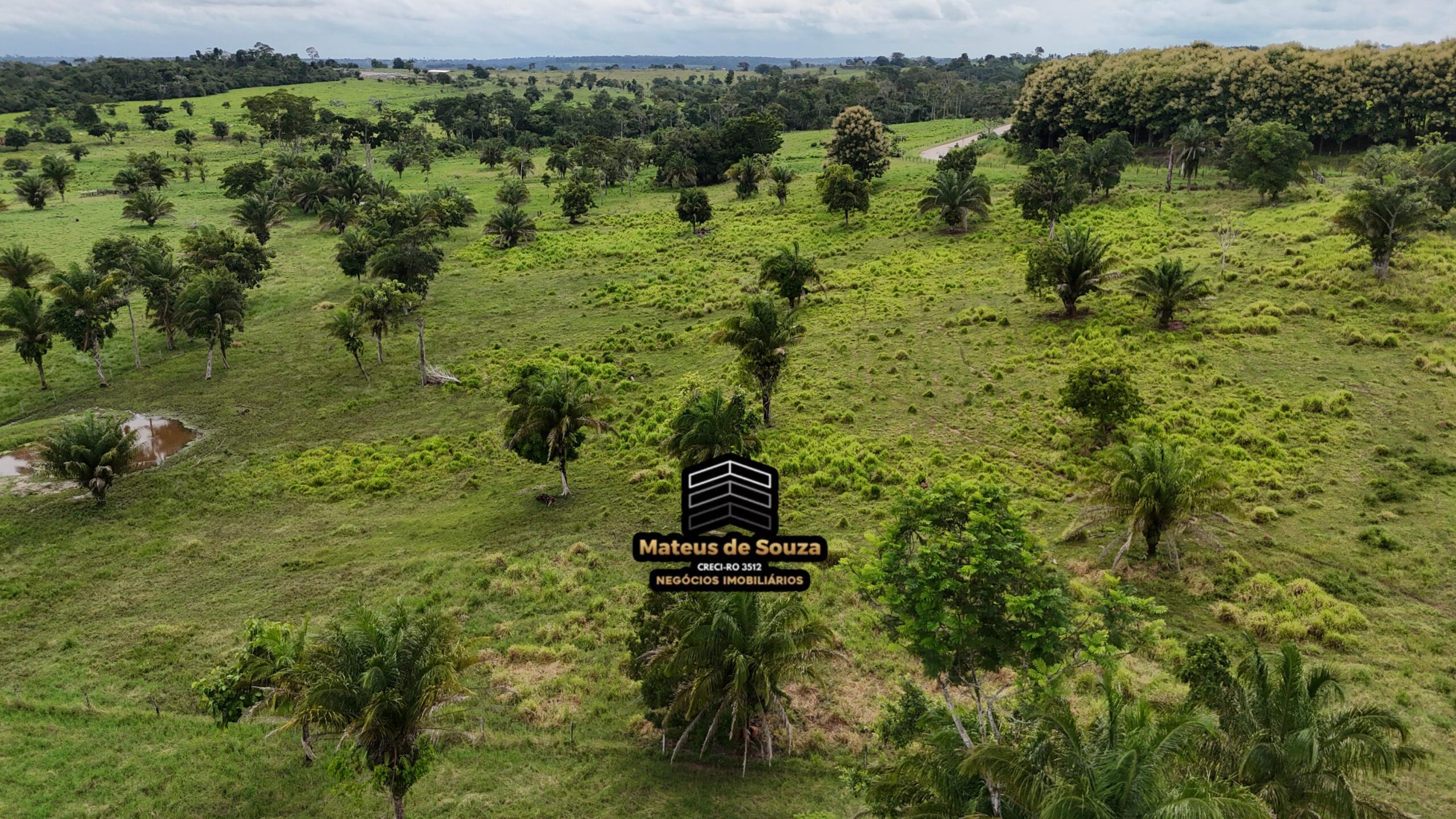 WhatsApp Image 2026-02-21 at 20.49.11