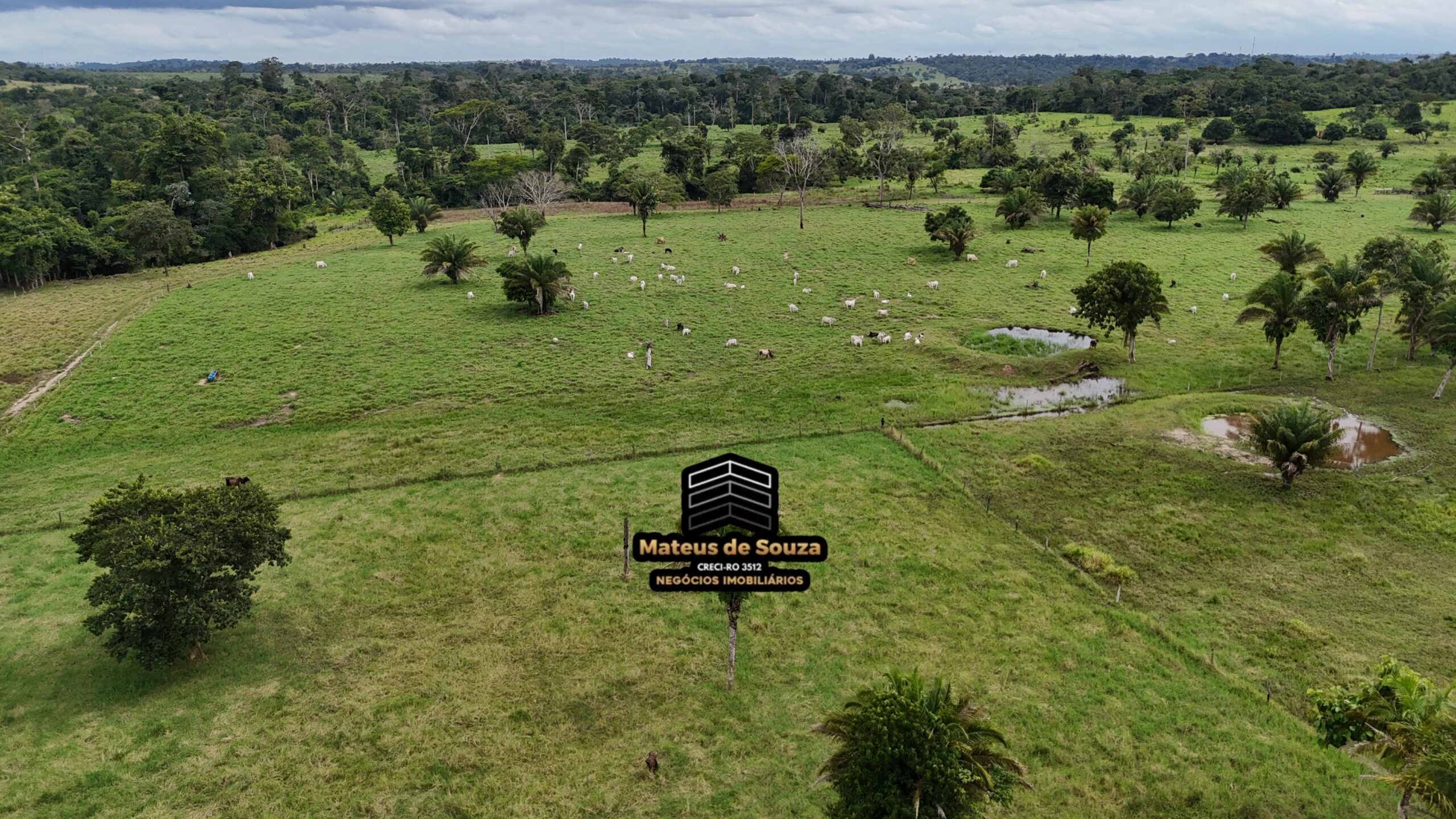 WhatsApp Image 2026-02-21 at 20.49.13 (1)