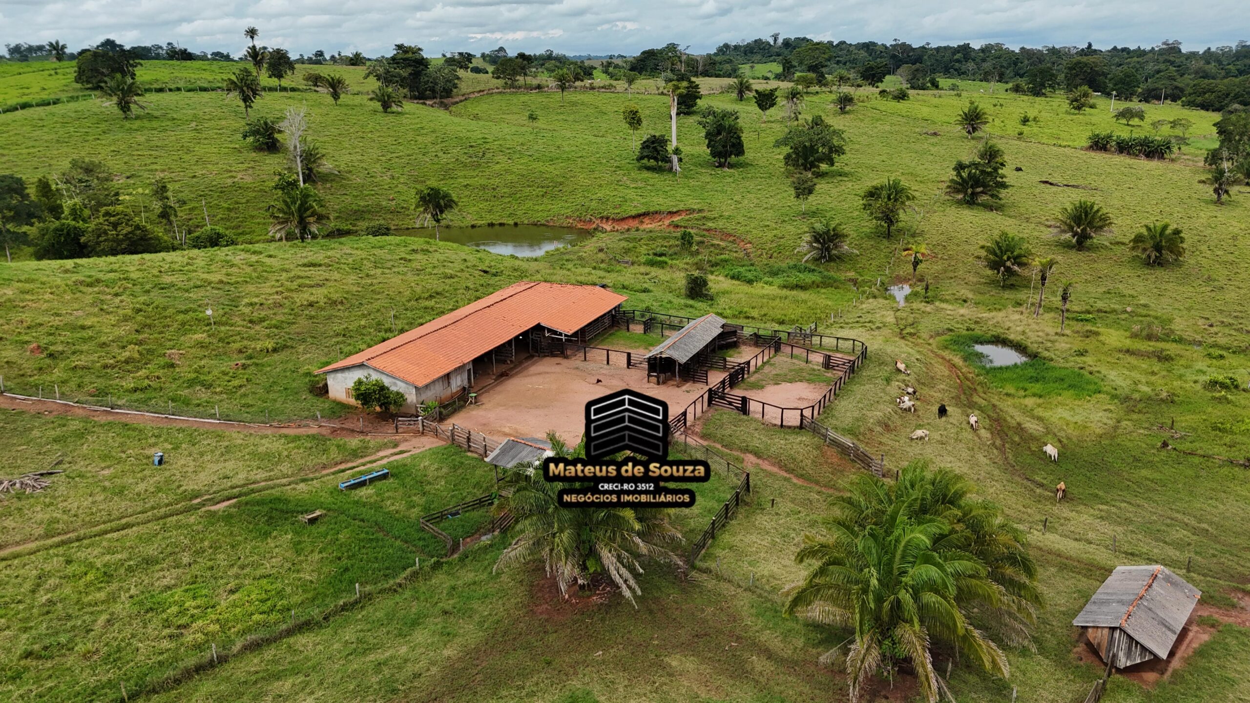 WhatsApp Image 2026-02-21 at 20.49.13