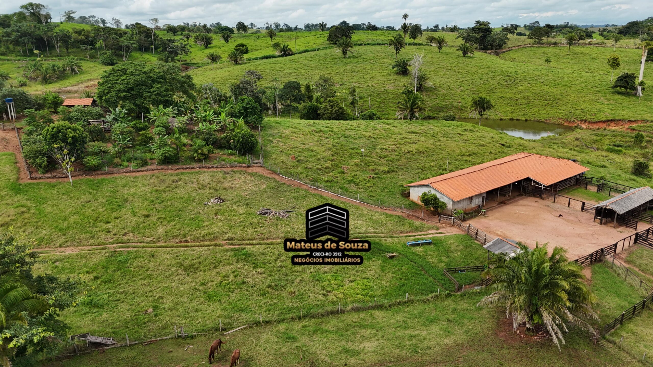 WhatsApp Image 2026-02-21 at 20.49.14 (1)