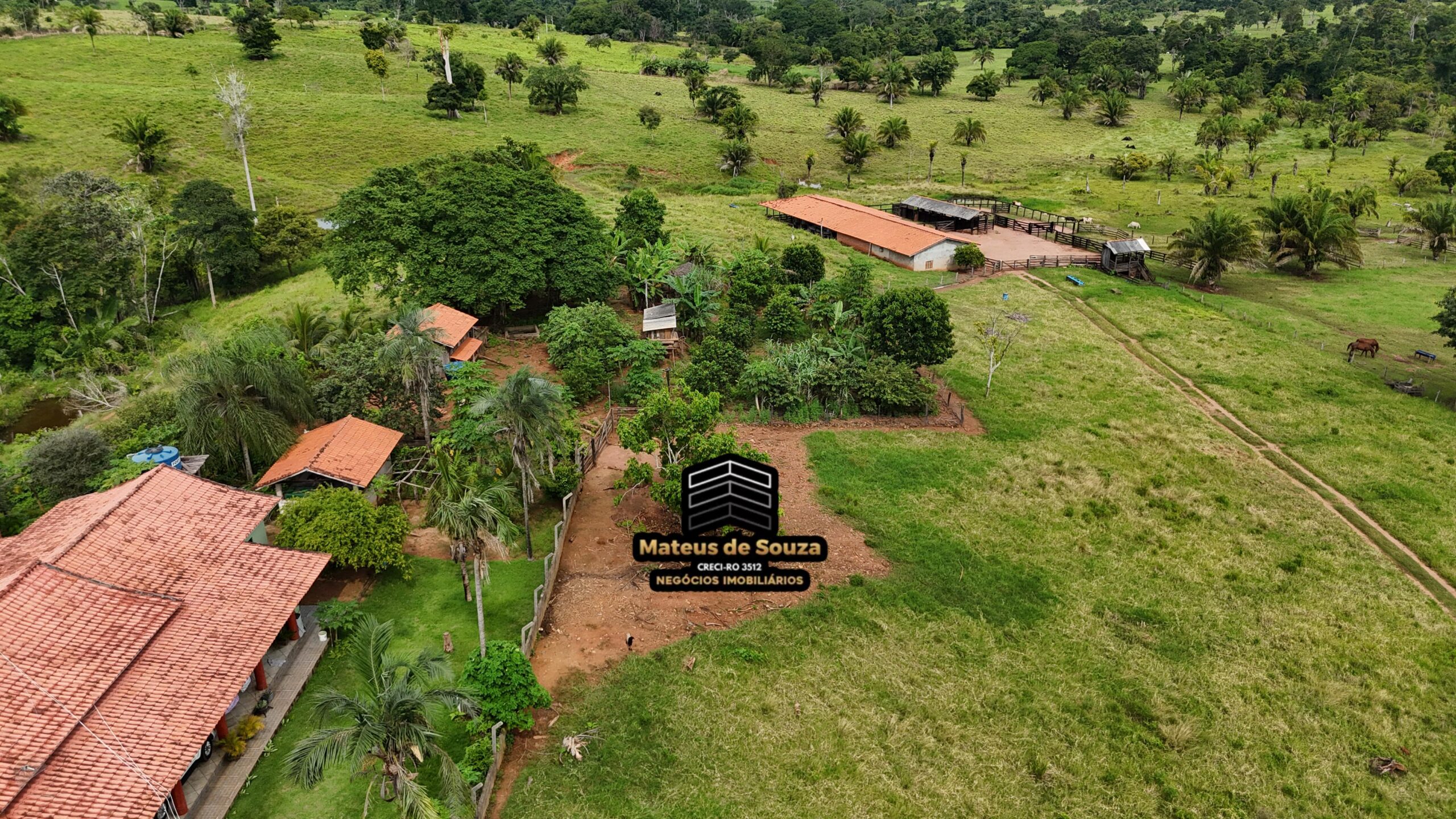 WhatsApp Image 2026-02-21 at 20.49.14