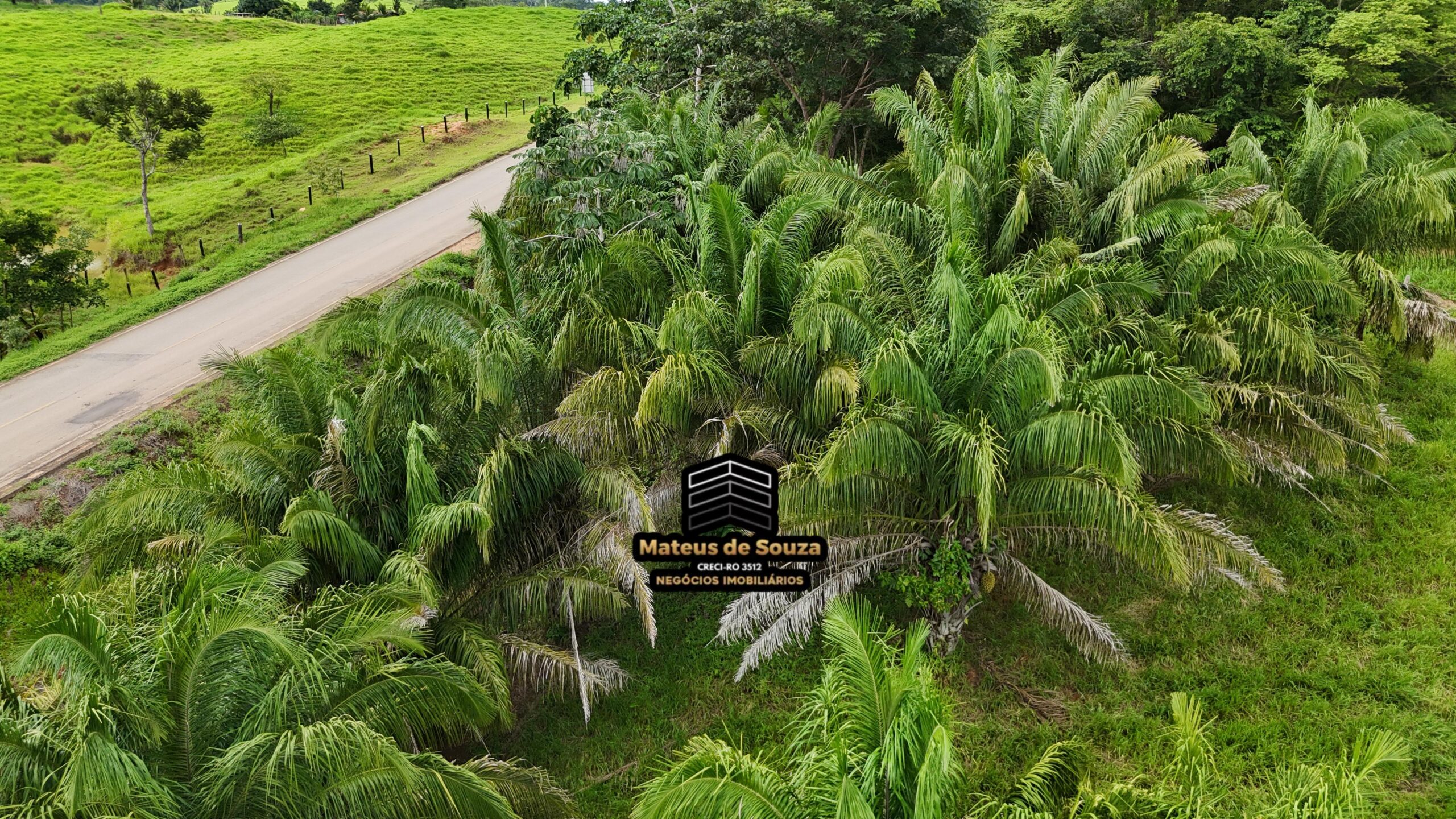 WhatsApp Image 2026-02-21 at 20.49.15