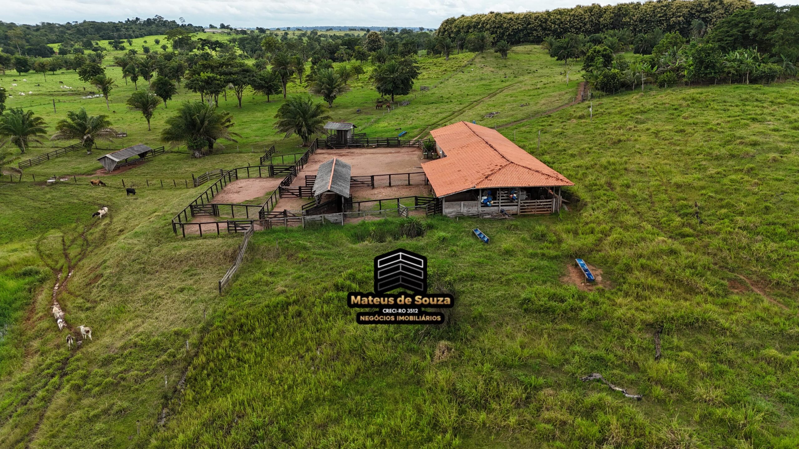 WhatsApp Image 2026-02-21 at 20.49.16 (1)