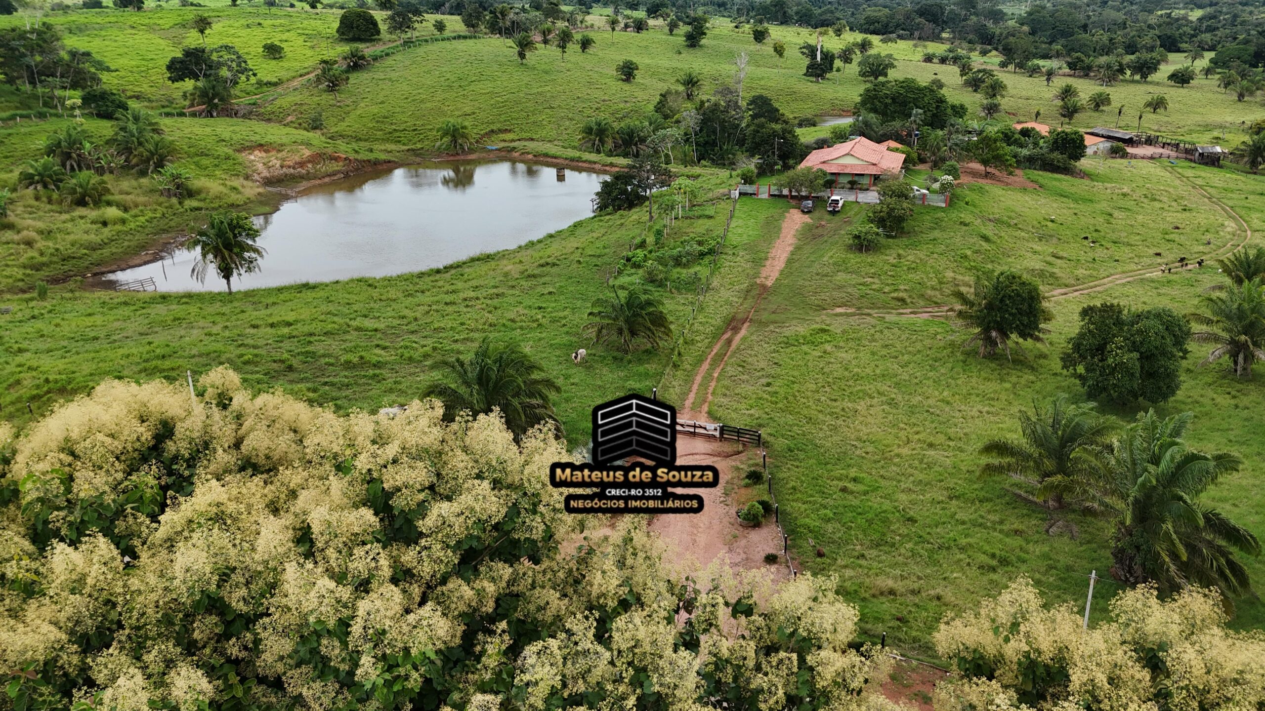 WhatsApp Image 2026-02-21 at 20.49.17 (1)