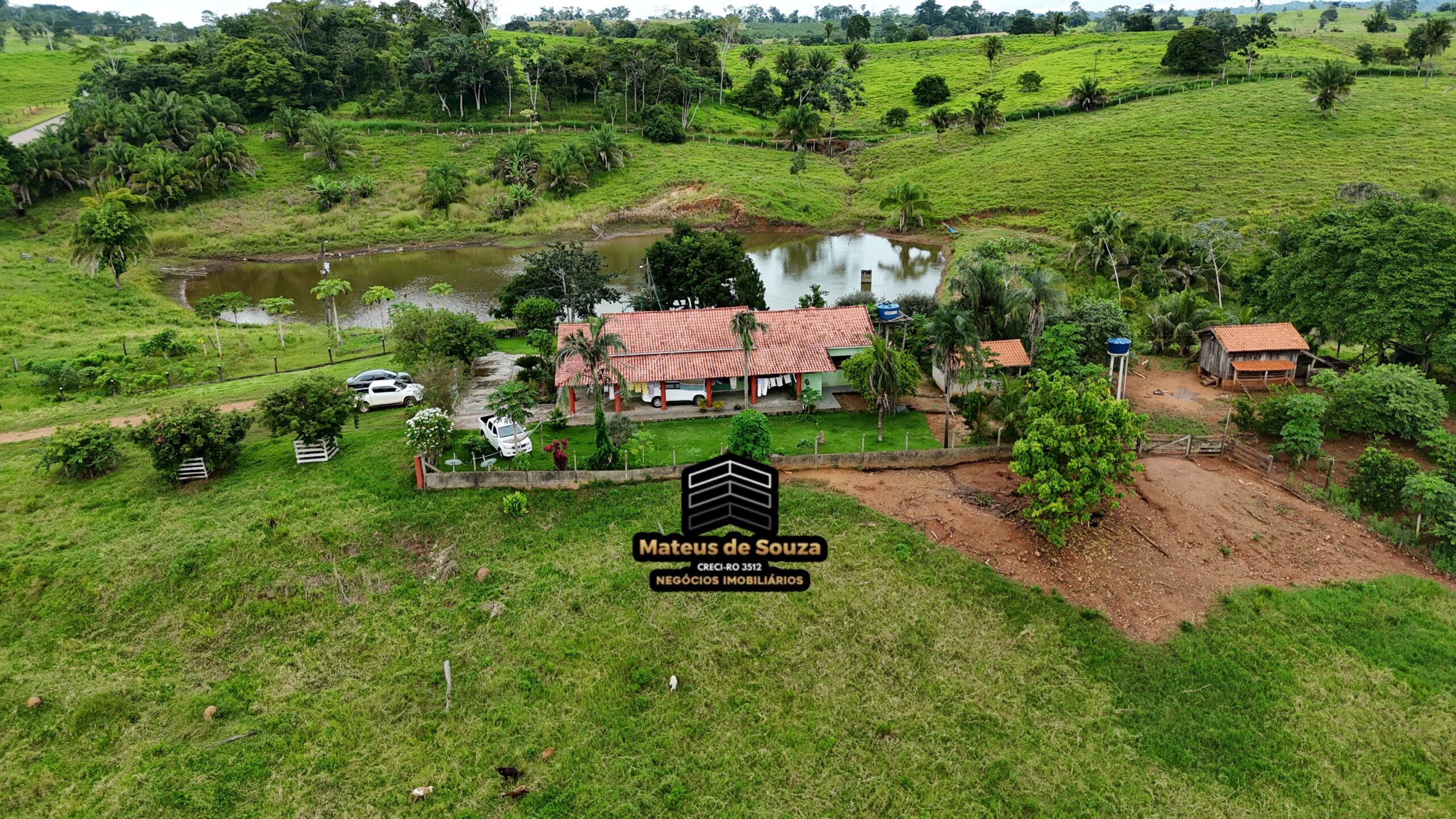 WhatsApp Image 2026-02-21 at 20.49.18 (1)